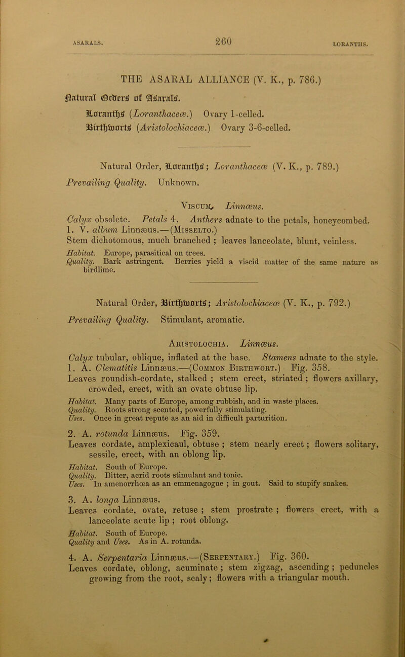 l.ORANTIIS. THE ASARAL ALLIANCE (V. K., p. 786.) Natural CDctrrvjj of £fc(arald. 2L0rantf)jS (Loranthacece.) Ovary 1-celled. JJtrttjIrmrttf (AristolocMacece.) Ovary 3-6-celled. Natural Order, Eorautt)j»; Loranthacece (V. K., p. 789.) Prevailing Quality. Unknown. Viscum> Linnaeus. Calyx obsolete. Petals 4. Anthers adnate to the petals, honeycombed. 1. V. album Linnaeus.—(Misselto.) Stem dichotomous, much branched ; leaves lanceolate, blunt, veinless. Habitat. Europe, parasitical on trees. Quality. Bark astringent. Berries yield a viscid matter of the same nature as birdlime. Natural Order, JRrfljluortsl; AristolocMacece (V. K., p. 792.) Prevailing Quality. Stimulant, aromatic. Aristolochia. Linnaeus. Calyx tubular, oblique, inflated at the base. Stamens adnate to the style. 1. A. Clematitis Linnaeus.—(Common Birthwort.) Fig. 358. Leaves roundish-cordate, stalked ; stem erect, striated ; flowers axillary, crowded, erect, with an ovate obtuse lip. Habitat. Many parts of Europe, among rubbish, and in waste places. Quality. Roots strong scented, powerfully stimulating. Uses. Once in great repute as an aid in difficult parturition. 2. A. rotunda Linnaeus. Fig. 359. Leaves cordate, amplexicaul, obtuse ; stem nearly erect; flowers solitary, sessile, erect, with an oblong lip. Habitat. South of Europe. Quality. Bitter, acrid roots stimulant and tonic. Uses. In amenorrhoea as an emmenagogue ; in gout. Said to stupify snakes. 3. A. longa Linnaeus. Leaves cordate, ovate, retuse ; stem prostrate ; flowers erect, with a lanceolate acute lip ; root oblong. Habitat. South of Europe. Quality and Uses. As in A. rotunda. 4. A. Serpentaria Linnaeus.—(Serpentary.) Fig. 360. Leaves cordate, oblong, acuminate ; stem zigzag, ascending ; peduncles growing from the root, scaly; flowers with a triangular mouth.