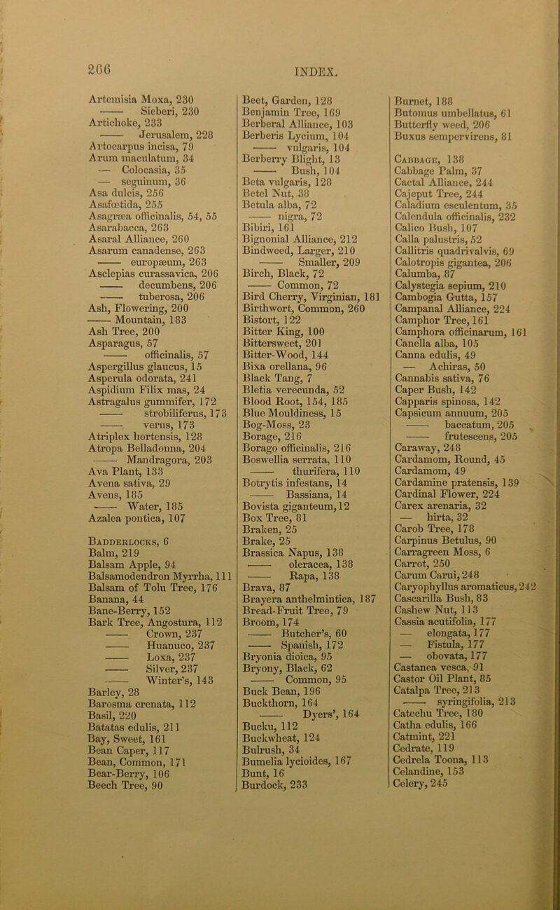 Artemisia Moxa, 230 Sieberi, 230 Artichoke, 233 • Jerusalem, 228 Artocarpus incisa, 79 Arum maculatum, 34 — Colocasia, 35 — seguinum, 36 Asa dulcis, 256 Asafoetida, 255 Asagrsea officinalis, 54, 55 Asarabacca, 263 Asaral Alliance, 260 Asarum canadense, 263 europseum, 263 Asclepias curassavica, 206 decumbens, 206 tuberosa, 206 Asli, Flowering, 200 Mountain, 183 Ash Tree, 200 Asparagus, 57 officinalis, 57 Aspergillus glaucus, 15 Asperula odorata, 241 Aspidium Filix mas, 24 Astragalus gummifer, 172 strobiliferus, 173 verus, 173 Atriplex hortensis, 128 Atropa Belladonna, 204 Mandragora, 203 Ava Plant, 133 Avena sativa, 29 Avens, 185 Water, 185 Azalea pontica, 107 Badderlocks, 6 Balm, 219 Balsam Apple, 94 Balsamodendron Myrrha, 111 Balsam of Tolu Tree, 176 Banana, 44 Bane-Berry, 152 Bark Tree, Angostura, 112 Crown, 237 Huanuco, 237 Loxa, 237 Silver, 237 Winter’s, 143 Barley, 28 Barosma crenata, 112 Basil, 220 Batatas edulis, 211 Bay, Sweet, 161 Bean Caper, 117 Bean, Common, 171 Bear-Berry, 106 Beech Tree, 90 Beet, Garden, 128 Benjamin Tree, 169 Berberal Alliance, 103 Berberis Lycium, 104 • vulgaris, 104 Berberry Blight, 13 Bush, 104 Beta vulgaris, 128 Betel Nut, 38 Betula alba, 72 nigra, 72 Bibiri, 161 Bignonial Alliance, 212 Bindweed, Larger, 210 Smaller, 209 Birch, Black, 72 Common, 72 Bird Cherry, Virginian, 181 Birthwort, Common, 260 Bistoi’t, 122 Bitter King, 100 Bittersweet, 201 Bitter-Wood, 144 Bixa orellana, 96 Black Tang, 7 Bletia verecunda, 52 Blood Root, 154, 185 Blue Mouldiness, 15 Bog-Moss, 23 Borage, 216 Borago officinalis, 216 Boswellia serrata, 110 tliurifera, 110 Botrytis infestans, 14 Bassiana, 14 Bovista giganteum,12 Box Tree, 81 Braken, 25 Brake, 25 Brassica Napus, 138 oleracea, 138 Rapa, 138 Brava, 87 Brayera anthelmintica, 187 Bread-Fruit Tree, 79 Broom, 174 Butcher’s, 60 Spanish, 172 Bryonia dioica, 95 Bryony, Black, 62 Common, 95 Buck Bean, 196 Buckthorn, 164 Dyers’, 164 Bucku, 112 Buckwheat, 124 Bulrush, 34 Bumelia lycioides, 167 Bunt, 16 Burdock, 233 Burnet, 188 Butomus umbellatus, 61 Butterfly weed, 206 Buxus sempervirens, 81 Cabbage, 138 Cabbage Palm, 37 Cactal Alliance, 244 Cajeput Tree, 244 Caladium esculentum, 35 Calendula officinalis, 232 Calico Bush, 107 Calla palustris, 52 Callitris quadrivalvis, 69 Calotropis gigantea, 206 Calumba, 87 Calystegia sepium, 210 Cambogia Gutta, 157 Campanal Alliance, 224 Camphor Tree, 161 Campliora officinarum, 161 Canella alba, 105 Canna edulis, 49 — Achiras, 50 Cannabis sativa, 76 Caper Bush, 142 Capparis spinosa, 142 Capsicum annuum, 205 baccatum, 205 frutescens, 205 Caraway, 248 Cardamom, Round, 45 Cardamom, 49 Card amine pratensis, 139 Cardinal Flower, 224 Carex arenaria, 32 — hirta, 32 Carob Tree, 178 Carpinus Betulus, 90 Carragreen Moss, 6 Carrot, 250 Carum Carui, 248 Caryophyllus aromaticus, 242 Cascarilla Bush, 83 Cashew Nut, 113 Cassia acutifolia, 177 — elongata, 177 — Fistula, 177 — obovata, 177 Castanea vesea, 91 Castor Oil Plant, 85 Catalpa Tree, 213 • syringifolia, 213 Catechu Tree, 180 Catlia edulis, 166 Catmint, 221 Cedrate, 119 Cedrela Toona, 113 Celandine, 153 Celery, 245