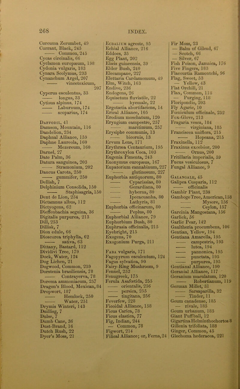Curcuma Zerumbet, 49 Currant, Black, 245 Common, 245 Cycas circinalis, 66 Cyclamen europseum, 198 Cydonia vulgaris, 183 Cynai’a Scolymus, 233 Cynanclium Argel, 207 vincetoxicum, 207 Cypex'us esculentus, 33 longus, 33 Cytisus alpimis, 174 Laburnum, 174 scoparius, 174 Daffodil, 41 Damson, Mountain, 116 Dandelion, 234 Daphnal Alliance, 159 Daphne Laureola, 160 Mezei’eum, 160 Darnel, 27 Date Palm, 36 Datura sanguinea, 203 Stramonium, 202 Daucus Carota, 250 gummifer, 250 Dellish, 7 Delphinium Consolida, 150 Stapliisagria, 150 Dent de Lion, 234 Dictamnus albus, 112 Dictyogens, 62 Dieffenbachia seguina, 36 Digitalis purpurea, 213 Dill, 253 Dillisk, 7 Dion edule, 66 Dioscorea tripliylla, 62 sativa, 63 Dittany, Bastard, 112 Dividivi Tree, 179 Dock, Water, 124 Dog Lichen, 21 Dogwood, Common, 259 Dorstenia brasiliensis, 78 Contrayerva, 78 Dorema ammoniacum, 257 Dragon’s Blood, Mexican, 84 Drop wort, 187 Hemlock, 250 Water, 251 Dry mis Winteri, 143 Duillisg, 7 Dulse, 7 Dumb Cane, 36 Dust-Brand, 16 Dutch Rush, 22 Dyer’s Moss, 21 Ecbalium agreste, 95 Echial Alliance, 216 Eddoes, 35 Egg Plant, 202 Elteis guiueensis, 39 Elder Bush, 240 Elecampane, 227 Elettaria Cardamomum, 49 Elm, Witch, 163 Endive, 236 Endogens, 26 Equisetum fluviatile, 22 hyemale, 22 Ergoteetia abortifaciens, 14 Erical Alliance, 105 Erodium moschatum, 120 Ei’yngium campestre, 257 max’itimum, 257 Erysiphe communis, 13 bicornis, 13 Ex’vum Lens, 171 Erythraea Centaurium, 195 Ex’ythroxylon Coca, 103 Eugenia Pimenta, 243 Euonymus europseus, 167 Eupatox'ium caimabinum, 227 • glutinosum, 227 Euphorbia antiquorum, 80 Cyparissias, 80 Gerardiana, 80 hybex'na, 80 Ipecacuanha, 80 Lathyris, 81 Euphox’bia officinarum, 80 Peplus, 80 Euphoi’bial Alliance, 79 Euphorbium Bush, 80 Euphx’asia officinalis, 215 Eyebx’ight, 215 Exogens, 70 Exogonium Pux’ga, 211 Fab a vxdgax’is, 171 Fagopyrum esculentum, 124 Fagus sylvatica, 90 Fairy-Ring Mushroom, 9 Fennel, 252 Fenugx-eek, 175 Ferula Asafoetida, 255 orientalis, 256 persica, 255 ■ tingitana, 256 Feverfew, 228 Ficoidal Alliance, 158 Ficus Cax’ica, 78 Ficus elastica, 77 Fig, Indian, 244 — Common, 78 Figwort, 214 Filical Alliance; or, Ferns,24 Fir Moss, 23 — Balm of Gilead, 67 — Scotch, 66 — Silver, 67 Fish Poison, Jamaica, 176 Five Fingers, 183 Flacourtia llamontchi, 96 Flag, Sweet, 53 — Yellow, 43 Flat Orchill, 21 Flax, Common, 118 — Purging, 118 Floripondio, 203 Fly Agaric, 10 Foeniculum officinale, 252 Fox-Glove, 213 Fx-agaria vesca, 184 virginiana, 185 Fi’anciscea uniflora, 215 • Hopeana, 215 Fraxinella, 112 Fraxinus excelsior, 200 Ornus, 200 Fritillaria imperialis, 59 Fucus vesiculosus, 7 Fungal Alliance, 9 Galangale, 45 Gah'pea Cusparia, 112 officinalis Garnbir Plant, 238 Gamboge Tree, American, 158 • Mysore, 156 x Ceylon, 157 Garcinia MaDgostana, 156 Gax’lick, 56 Gax-lic Pear, 142 Gaulthei’ia px’ocumbens, 106 Gentian, Yellow, 194 Gentiana Amarella, 195 campestris, 195 lutea, 194 pannonica, 195 punctata, 195 pui’purea, 195 Gentianal Alliance, 190 Gex’anial Alliance, 117 Gex’anium macixlatunx, 120 Robertianum, 119 German Millet, 31 Sarsaparilla, 32 Tinder, 11 Geum cauadense, 185 — rivale, 185 Geum urbanum, 185 Giant Puffball, 12 Gigartina Helminthochortos 8 Gillenia trifoliata, 188 Giugex’, Common, 45 Glechoma hedei-acea, 221