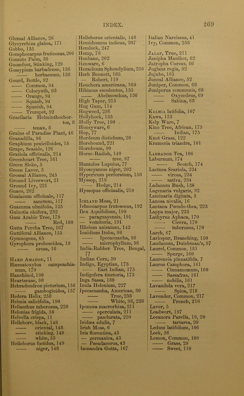 Glumal Alliance, 26 Glvcyrrhiza glabra, 171 Gobbo, 135 Gomphocarpus fruticosus,206 Gomuto Palm, 38 Goosefoot, Stinking, 129 Gossypium barbadense, 1 36 herbaceum, 136 Gourd, Bottle, 92 Common, 94 Colocynth, 93 Orange, 94 Squash, 94 Spanish, 94 Trumpet, 92 Gracilaria Helminthochor- tos, 8 ten ax, 8 Grains of Paradise Plant, 46 Granadilla, 96 Graphium penicilloides, 15 Grape, Seaside, 126 Gratiola officinalis, 214 Greenlieart Tree, 161 Green Sloke, 5 Green Laver, 5 Grossal Alliance, 245 Ground Liverwort, 21 Ground Ivy, 221 Guaco, 262 Guaiacum officinale, 117 sanctum, 117 Guazuma ulmifolia, 135 Guizotia oleifera, 232 Gum Arabic Tree, 179 Red, 180 Gutta Percha Tree, 167 Guttiferal Alliance, 155 Gymnogens, 65 Gyrophora proboscidea, 18 erosa, 18 Hard Amadou, 11 Hmmatoxylon campeachia- num, 179 Hanchinol, 190 Heartsease, 98 Hebradendron pictorium, 156 gambogioides, 157 Hedera Helix, 258 Heimia salicifolia, 190 Helianthus tuberosus, 228 Helonias frigida, 56 Helvella crispa, 11 Hellebore, black, 148 oriental, 148 stinking, 149 white, 53 Helleborus foetidus, 149 niger, 148 Helleborus orientalis, 148 Hemidesmua indicus, 207 Hemlock, 247 Hemp, 76 Henbane, 202 Kenware, 6 Heracleum Spliondylium, 256 Herb Bennett, 185 — Robert, 119 Heuchera americana, 189 Hibiscus esculentus, 135 Abelmoschus, 136 High Taper, 215 Hog Gum, 114 Hogweed, 256 Hollyhock, 135 Holly Tree, 190 Lloneyware, 6 Hop, 77 Hordeum distichum, 28 Horehound, 221 Hornbeam, 90 Horse-Radish, 140 tree, 97 Humulus Lupulus, 77 Hyoscyamus niger, 202 Hypericum perforatum, 158 Hyssop, 219 Hedge, 214 Hyssopus officinalis, 219 Iceland Moss, 21 Ichnocarpus frutescens, 192 Ilex Aquifolium, 190 — paraguayensis, 191 — vomitoria, 191 Illicium anisatum, 143 Ionidium Itubu, 98 Ipecacuanha, 98 microphyllum, 98 India-Rubber Tree, Bengal, 77 Indian Corn, 30 Indigo, Egyptian, 173 East Indian, 175 Indigofera tinctoria, 175 Inga Sassa, 180 Inula Helenium, 227 Ipecacuanha, American, 80 True, 238 White, 98, 238 Ipomcea macrorhiza, 211 operculata, 211 pandurata, 210 Iridsea edulis, 7 Irish Moss, 6 Iris floreutina, 43 — germanica, 43 — Pseudacorus, 4 3 Isonandra Gutta, 167 Italian Narcissus, 41 Ivy, Common, 258 Jalap, True, 211 Janipha Manihot, 82 Jatropha Curcas, 86 Juglans regia, 92 Jujube, 165 Juncal Alliance, 52 Juniper, Common, 68 Juniperus communis, 68 Oxycedrus, 69 Sabina, 68 Kalmia latifolia, 107 Kawa, 133 Kelp Ware, 7 Kino Tree, African, 175 Indian, 175 Knot Grass, 122 Krameria triandra, 101 Labrador Tea, 106 Laburnum, 174 Scotch, 174 Lactuca Scariola, 234 virosa, 234 sativa, 234 Ladanum Bush, 138 Lagenaria vulgaris, 92 Laminaria digitata, 5 Lanosa nivalis, 16 Lantana Pseudo-tliea, 223 Lappa major, 233 Lathyrus Aphaca, 170 Cicera, 170 tuberosus, 170 Larch, 67 Larkspur, Branching, 150 Laudanum, Dutchman’s, 97 Laurel, Common, 181 Spurge, 160 Laurencia pinnatifida, 7 Laurus Camphora, 161 Cinnamomum, 160 Sassafras, 161 nobilis, 161 Lavandula vera, 217 Spica, 218 Lavender, Common, 217 French, 218 Laver, 5 Leadwort, 197 Lecanora Parella, 19, 20 tartarea, 20' Ledum latifolium, 106 Leek, 56 Lemon, Common, 109 Grass, 29 Sweet, 110