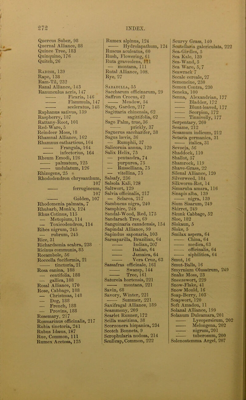 279 «v I <V Quercus Suber, 98 Quernal Alliance, 88 Quince Tree, 183 Quinquino, 176 Quitch, 26 Radish, 139 Rape, 138 Ram-Til, 232 Ranal Alliance, 143 Ranunculus acris, 147 Ficaria, 146 Flammula, 147 sceleratus, 148 Raplianus sativus, 139 Raspberry, 187 Rattany-Root, 101 Red-Ware, 5 Reindeer Moss, 18 Rhamnal Alliance, 162 Rhamnus catharticus, 164 Fi’angula, 164 infectorius, 164 Rheum Emodi, 126 palmatum, 125 undulatuin, 126 Rhizogens, 25 Rhododendron chrysantlium, 107 ferrugineum, 107 Golden, 107 Rhodomenia palmata, 7 Rhubarb, Monk’s, 124 RhusCotinus, 115 — Metopium, 114 — Toxicodendron, 114 Ribes nigrum, 245 — rubrum, 245 Rice, 31 Richardsonia scabra, 238 Ricinus communis, 85 Rocambole, 56 Roccella fuciformis, 21 tinctoria, 21 Rosa canina, 188 — centifolia, 188 — gallica, 188 Rosal Alliance, 170 Rose, Cabbage, 188 — Christmas, 148 — Dog, 188 — French, 188 — Provins, 188 Rosemary, 217 Rosmarinus officinalis, 217 Rubia tinctoria, 241 Rubus Idseus, 187 Rue, Common, 111 Rumex Acetosa, 125 INDEX. Rumex alpinus, 124 Hydrolapathum, 124 Ruscus aculeatus, 60 Rush, Flowering, 61 Ruta graveolens, 111 — montana, 111 Rutal Alliance, 108. Rye, 27 Sabadilla, 55 Saccharum officinarum, 29 Saffron Crocus, 42 Meadow, 54 Sage, Garden, 217 Sagittaria chinensis, 62 sagittifolia, 62 Sago Palm, true, 36 prickly, 37 Saguerus saccharifer, 38 Sagus kcvis, 36 — Rumphii, 37 Salicornia annua, 129 Salix Helix, 75 — pentandra, 74 — purpurea, 75 — Russelliana, 75 — vitellina, 75 Salsafy, 236 Salsola Kali, 128 Saltwort, 129 Salvia officinalis, 217 — Sclarea, 217 Sambucus nigra, 240 Samphire, 248 Sandal-Wood, Red, 175 Sandarach Tree, 69 Sanguinaria canadensis, 154 Sapindal Alliance, 99 Sapindus saponaria, 103 Sarsaparilla, Brazilian, 64 Indian, 207 Italian, 64 Jamaica, 64 Vera Cruz, 63 Sassafras officinale, 161 Swamp, 144 Tree, 161 Satureia hortensis, 221 montana, 221 Savin, 68 Savory, Winter, 221 Summer, 221 Saxifragal Alliance, 189 Scammony, 209 Scarlet Runner, 172 Scilla maritima, 58 Scorzonera hispanica, 234 Scotch Bonnets, 9 Scrophularia nodosa, 214 Scull cap, Common, 222 Scurvy Grass, 140 Scutellaria galericulata, 222 Sea-Girdles, 5 Sea Kale, 139 Sea-Wand, 5 Sea Ware, 5, 7 Sea wrack 7 Secale cereale, 27 Semencine, 230 Semen Contra, 230 Seneka, 100 Senna, Alexandrian, 177 Bladder, 172 Blunt-leaved, 177 Scorpion, 172 Tinnivelly, 177 Serpentary, 260 Sesame, 212 Sesamum indicum, 212 Setaria germanica, 31 italica, 31 Sevoeja, 56 Shaddock, 110 Shallot, 57 Shamrock, 119 Shave-Grass, 22 Silenal Alliance, 120 Silverweed, 184 Silkworm-Rot, 14 Simaruba amara, 116 Smapisalba, 139 nigra, 139 Sium Sisarum, 249 Skirret, 249 Skunk Cabbage, 52 Sloe, 182 Slokaun, 5 Sloke, 5 Smilax aspera, 64 China, 64 medica, 63 ■ officinalis, 64 sipliilitica, 64 Smut, 16 Smut-Balls, 16 Smyrnium Olusatrum, 249 Snake Moss, 23 Sneezewort, 229 Snow-Flake, 41 Snow Mould, 16 Soap-Berry, 103 Soapwort, 120 Soft Amadou, 11 Solanal Alliance, 199 Solanum Dulcamara, 201 Lycopersicum, 202 Melongena, 202 nigrum, 201 tuberosum, 200 Solenostemma Argel, 207