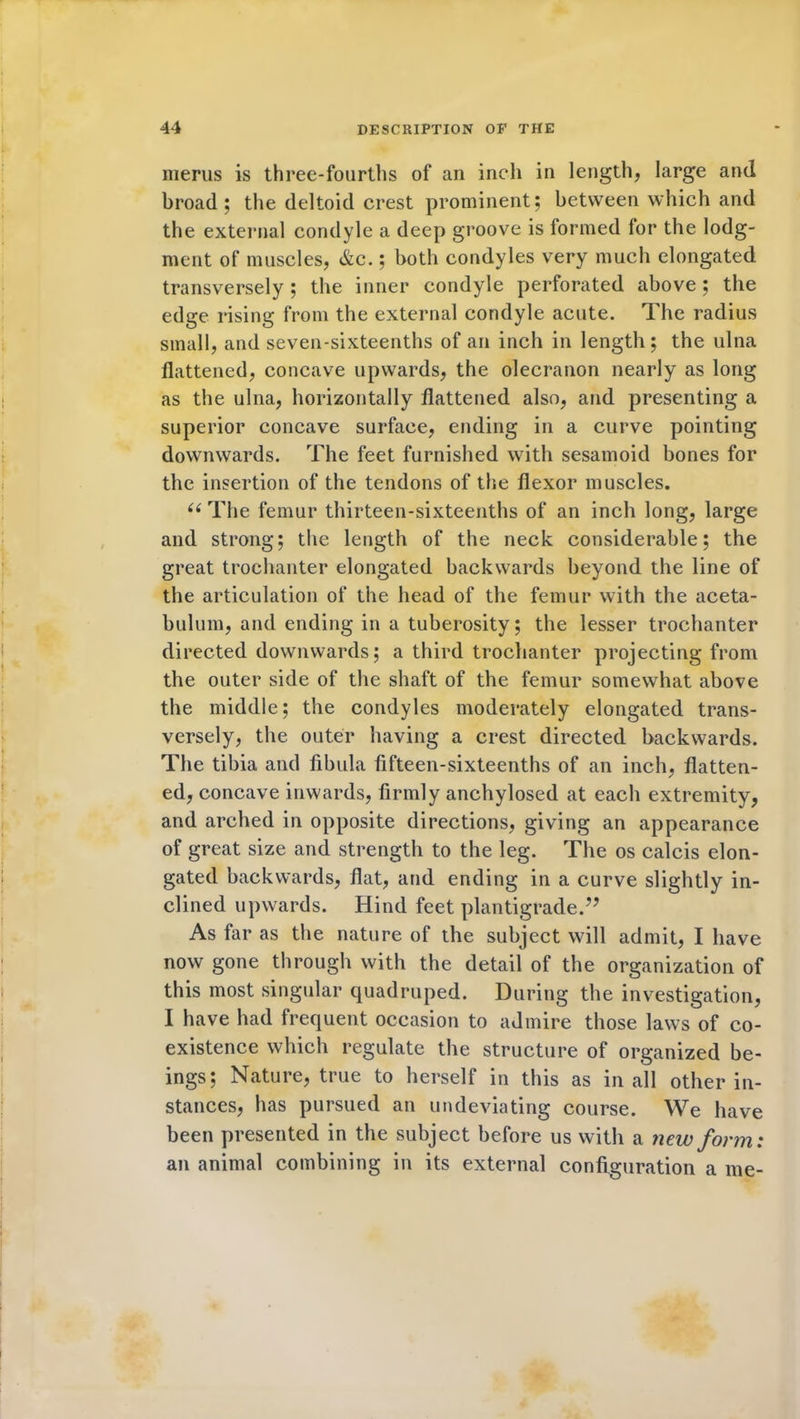 merus is three-fourths of an inch in length, large and broad; the deltoid crest prominent; between which and the external condyle a deep groove is formed lor the lodg- ment of muscles, &c.; both condyles very much elongated transversely ; the inner condyle perforated above; the edge rising from the external condyle acute. The radius small, and seven-sixteenths of an inch in length; the ulna flattened, concave upwards, the olecranon nearly as long as the ulna, horizontally flattened also, and presenting a superior concave surface, ending in a curve pointing downwards. The feet furnished with sesamoid bones for the insertion of the tendons of the flexor muscles. (( The femur thirteen-sixteenths of an inch long, large and strong; the length of the neck considerable; the great trochanter elongated backwards beyond the line of the articulation of the head of the femur with the aceta- bulum, and ending in a tuberosity; the lesser trochanter directed downwards; a third trochanter projecting from the outer side of the shaft of the femur somewhat above the middle; the condyles moderately elongated trans- versely, the outer having a crest directed backwards. The tibia and fibula fifteen-sixteenths of an inch, flatten- ed, concave inwards, firmly anchylosed at each extremity, and arched in opposite directions, giving an appearance of great size and strength to the leg. The os calcis elon- gated backwards, flat, and ending in a curve slightly in- clined upwards. Hind feet plantigrade.?? As far as the nature of the subject will admit, I have now gone through with the detail of the organization of this most singular quadruped. During the investigation, I have had frequent occasion to admire those laws of co- existence which regulate the structure of organized be- ings; Nature, true to herself in this as in all other in- stances, has pursued an undeviating course. We have been presented in the subject before us with a new form: an animal combining in its external configuration a me-