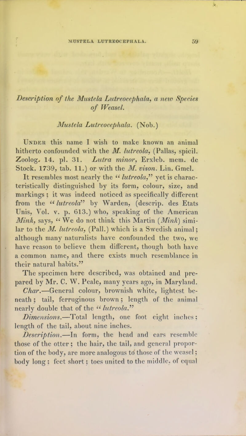 Deswiption of the Mustela Lutreocephala, a new Species of Weasel. Mustela Lutreocephala. (Nob.) Under this name I wish to make known an animal hitherto confounded with the M. lutreola, (Pallas, spied. Zoolog, 14. pi. 31. Lutra minor, Erxleb. mem. de Stock. 1739, tab. 11.) or with the M. vison. Lin. Gmel. It resembles most nearly the i( lutreola ” yet is charac- teristically distinguished by its form, colour, size, and markings ; it was indeed noticed as specifically different from the 66 lutreola” by Warden, (descrip, des Etats Unis, Vol. v. p. 613.) who, speaking of the American Mink, says, ii We do not think this Martin [Mink) simi- lar to the M. lutreola, (Pall.) which is a Swedish animal; although many naturalists have confounded the two, we have reason to believe them different, though both have a common name, and there exists much resemblance in their natural habits.” The specimen here described, was obtained and pre- pared by Mr. C. W. Peale, many years ago, in Maryland. Char.—General colour, brownish white, lightest be- neath ; tail, ferruginous brown; length of the animal nearly double that of the “ lutreola ” Dimensions.—Total length, one foot eight inches; length of the tail, about nine inches. Description.—In form, the head and ears resemble those of the otter; the hair, the tail, and general propor- tion of the body, are more analogous td those of the weasel; body long ; feet short; toes united to the middle, of equal