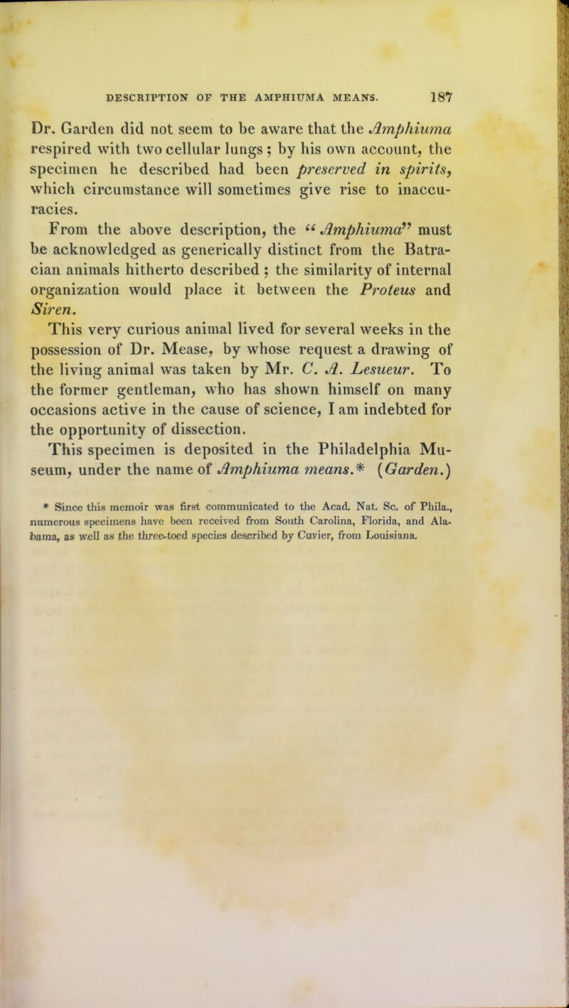 Dr. Garden did not seem to be aware that the Amphiuma respired with two cellular lungs ; by his own account, the specimen he described had been preserved in spirits, which circumstance will sometimes give rise to inaccu- racies. From the above description, the “Amphiuma” must be acknowledged as generically distinct from the Batra- cian animals hitherto described ; the similarity of internal organization would place it between the Proteus and Siren. This very curious animal lived for several weeks in the possession of Dr. Mease, by whose request a drawing of the living animal was taken by Mr. C. A. Lesueur. To the former gentleman, who has shown himself on many occasions active in the cause of science, I am indebted for the opportunity of dissection. This specimen is deposited in the Philadelphia Mu- seum, under the name of Amphiuma means.* {Garden.) * Since this memoir was first communicated to the Acad. Nat. Sc. of Phila., numerous specimens have been received from South Carolina, Florida, and Ala- bama, as well as the three-toed species described by Cuyier, from Louisiana,