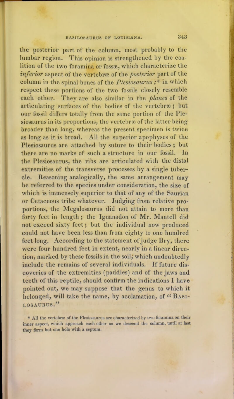 the posterior part of the column, most probably to the lumbar region. This opinion is strengthened by the coa- lition of the two foramina or fossse, which characterize the inferior aspect of the vertebrae of the posterior part of the column in the spinal bones of the Plesiosaurus ,** in which respect these portions of the two fossils closely resemble each other. They are also similar in the planes of the articulating surfaces of the bodies of the vertebrae ; but our fossil differs totally from the same portion of the Ple- siosaurus in its proportions, the vertebrae of the latter being broader than long, whereas the present specimen is twice as long as it is broad. All the superior apophyses of the Plesiosaurus are attached by suture to their bodies; but there are no marks of such a structure in our fossil. In the Plesiosaurus, the ribs are articulated with the distal extremities of the transverse processes by a single tuber- cle. Reasoning analogically, the same arrangement may be referred to the species under consideration, the size of which is immensely superior to that of any of the Saurian or Cetaceous tribe whatever. Judging from relative pro- portions, the Megalosaurus did not attain to more than forty feet in length ; the Iguanadon of Mr. Mantell did not exceed sixty feet; but the individual now produced could not have been less than from eighty to one hundred feet long. According to the statement of judge Bry, there were four hundred feet in extent, nearly in a linear direc- tion, marked by these fossils in the soil,* which undoubtedly include the remains of several individuals. If future dis- coveries of the extremities (paddles) and of the jaws and teeth of this reptile, should confirm the indications I have pointed out, we may suppose that the genus to which it belonged, will take the name, by acclamation, of “ Basi- losaurus.” * All the vertebrae of the Plesiosaurus are characterized by two foramina on their inner aspect, which approach each other as we descend the column, until at last they form but one hole with a septum.