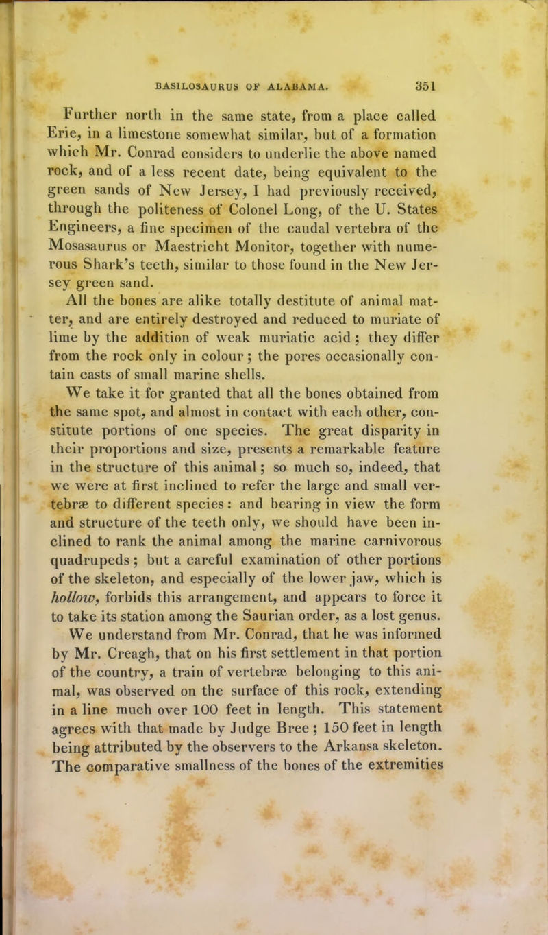 Further north in the same state, from a place called Erie, in a limestone somewhat similar, but of a formation which Mr. Conrad considers to underlie the above named rock, and of a less recent date, being equivalent to the green sands of New Jersey, I had previously received, through the politeness of Colonel Long, of the U. States Engineers, a fine specimen of the caudal vertebra of the Mosasaurus or Maestricht Monitor, together with nume- rous Shark’s teeth, similar to those found in the New Jer- sey green sand. All the bones are alike totally destitute of animal mat- ter, and are entirely destroyed and reduced to muriate of lime by the addition of weak muriatic acid ; they differ from the rock only in colour; the pores occasionally con- tain casts of small marine shells. We take it for granted that all the bones obtained from the same spot, and almost in contact with each other, con- stitute portions of one species. The great disparity in their proportions and size, presents a remarkable feature in the structure of this animal; so much so, indeed, that we were at first inclined to refer the large and small ver- tebrae to different species: and bearing in view the form and structure of the teeth only, we should have been in- clined to rank the animal among the marine carnivorous quadrupeds ; but a careful examination of other portions of the skeleton, and especially of the lower jaw, which is hollow, forbids this arrangement, and appears to force it to take its station among the Saurian order, as a lost genus. We understand from Mr. Conrad, that he was informed by Mr. Creagh, that on his first settlement in that portion of the country, a train of vertebrae belonging to this ani- mal, was observed on the surface of this rock, extending in a line much over 100 feet in length. This statement agrees with that made by Judge Bree ; 150 feet in length being attributed by the observers to the Arkansa skeleton. The comparative smallness of the bones of the extremities
