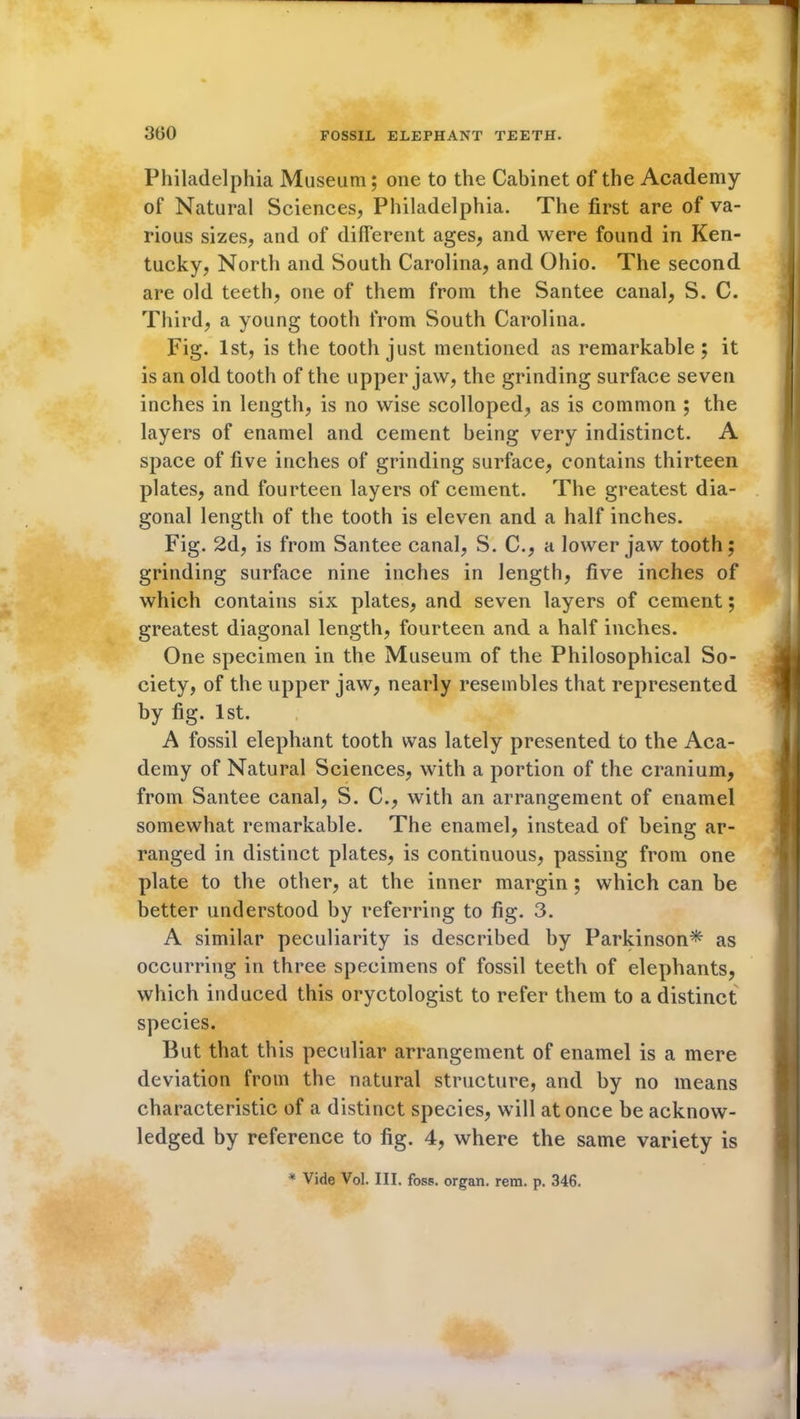 300 Philadelphia Museum; one to the Cabinet of the Academy of Natural Sciences, Philadelphia. The first are of va- rious sizes, and of different ages, and were found in Ken- tucky, North and South Carolina, and Ohio. The second are old teeth, one of them from the Santee canal, S. C. Third, a young tooth from South Carolina. Fig. 1st, is the tooth just mentioned as remarkable; it is an old tooth of the upper jaw, the grinding surface seven inches in length, is no wise scolloped, as is common ; the layers of enamel and cement being very indistinct. A space of five inches of grinding surface, contains thirteen plates, and fourteen layers of cement. The greatest dia- gonal length of the tooth is eleven and a half inches. Fig. 2d, is from Santee canal, S. C., a lower jaw tooth; grinding surface nine inches in length, five inches of which contains six plates, and seven layers of cement; greatest diagonal length, fourteen and a half inches. One specimen in the Museum of the Philosophical So- ciety, of the upper jaw, nearly resembles that represented by fig. 1st. A fossil elephant tooth was lately presented to the Aca- demy of Natural Sciences, with a portion of the cranium, from Santee canal, S. C., with an arrangement of enamel somewhat remarkable. The enamel, instead of being ar- ranged in distinct plates, is continuous, passing from one plate to the other, at the inner margin ; which can be better understood by referring to fig. 3. A similar peculiarity is described by Parkinson* as occurring in three specimens of fossil teeth of elephants, which induced this oryctologist to refer them to a distinct species. But that this peculiar arrangement of enamel is a mere deviation from the natural structure, and by no means characteristic of a distinct species, will at once be acknow- ledged by reference to fig. 4, where the same variety is