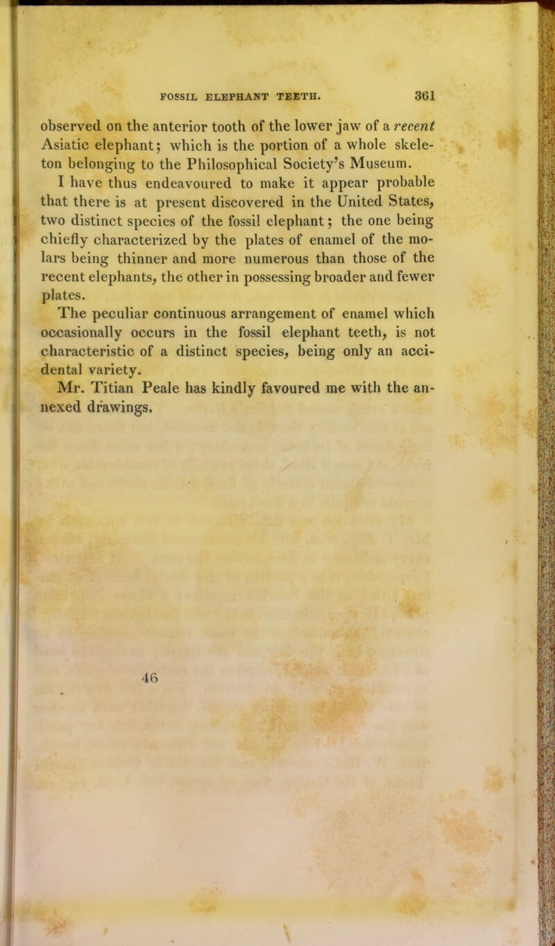 observed on the anterior tooth of the lower jaw of a recent Asiatic elephant; which is the portion of a whole skele- ton belonging to the Philosophical Society’s Museum. I have thus endeavoured to make it appear probable that there is at present discovered in the United States, two distinct species of the fossil elephant; the one being chiefly characterized by the plates of enamel of the mo- lars being thinner and more numerous than those of the recent elephants, the other in possessing broader and fewer plates. The peculiar continuous arrangement of enamel which occasionally occurs in the fossil elephant teeth, is not characteristic of a distinct species, being only an acci- dental variety. Mr. Titian Peale has kindly favoured me with the an- nexed drawings.
