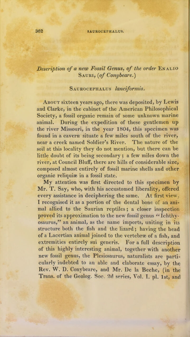 Description of a new Fossil Genus, of the order Enalio Sauri, (of Conybeare.) Saurocephalus lanciformis, About sixteen years ago, there was deposited, by Lewis and Clarke, in the cabinet of the American Philosophical Society, a fossil organic remain of some unknown marine animal. During the expedition of these gentlemen up the river Missouri, in the year 1804, this specimen was found in a cavern situate a few miles south of the river, near a creek named Soldier’s River. The nature of the soil at this locality they do not mention, but there can be little doubt of its being secondary; a few miles down the river, at Council Bluff, there are hills of considerable size, composed almost entirely of fossil marine shells and other organic reliquiae in a fossil state. My attention was first directed to this specimen by Mr. T. Say, who, with his accustomed liberality, offered every assistance in deciphering the same. At first view, I recognised it as a portion of the dental bone of an ani- mal allied to the Saurian reptiles; a closer inspection proved its approximation to the new fossil genus i( Ichthy- osaurus,^” an animal, as the name imports, uniting in its structure both the fish and the lizard: having the head of a Lacertian animal joined to the vertebrae of a fish, and extremities entirely sui generis. For a full description of this highly interesting animal, together with another new fossil genus, the Plesiosaurus, naturalists are parti- cularly indebted to an able and elaborate essay, by the Rev. W. D. Conybeare, and Mr. De la Beche, (in the Trans, of the Geolog. Soc. 2d series, Vol. I. pi. 1st, and