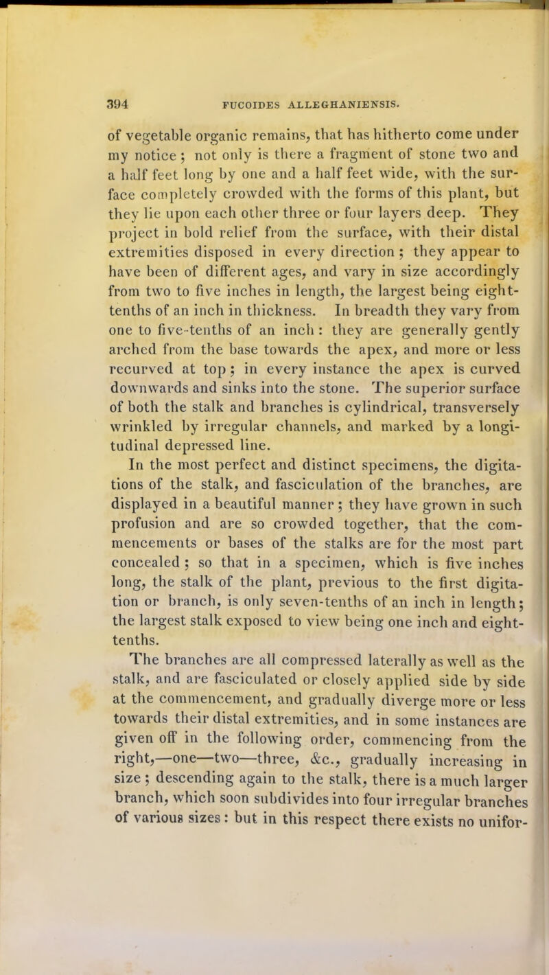 of vegetable organic remains, that has hitherto come under my notice ; not only is there a fragment of stone two and a half feet long by one and a half feet wide, with the sur- face completely crowded with the forms of this plant, but they lie upon each other three or four layers deep. They project in bold relief from the surface, with their distal extremities disposed in every direction ; they appear to have been of different ages, and vary in size accordingly from two to five inches in length, the largest being eight- tenths of an inch in thickness. In breadth they vary from one to five tenths of an inch : they are generally gently arched from the base towards the apex, and more or less recurved at top ; in every instance the apex is curved downwards and sinks into the stone. The superior surface of both the stalk and branches is cylindrical, transversely wrinkled by irregular channels, and marked by a longi- tudinal depressed line. In the most perfect and distinct specimens, the digita- tions of the stalk, and fasciculation of the branches, are displayed in a beautiful manner ; they have grown in such profusion and are so crowded together, that the com- mencements or bases of the stalks are for the most part concealed ; so that in a specimen, which is five inches long, the stalk of the plant, previous to the first digita- tion or branch, is only seven-tenths of an inch in length; the largest stalk exposed to view being one inch and eight- tenths. The branches are all compressed laterally as well as the stalk, and are fasciculated or closely applied side by side at the commencement, and gradually diverge more or less towards their distal extremities, and in some instances are given off in the following order, commencing from the right,—one—two—three, &c., gradually increasing in size ; descending again to the stalk, there is a much larger branch, which soon subdivides into four irregular branches of various sizes : but in this respect there exists no unifor-