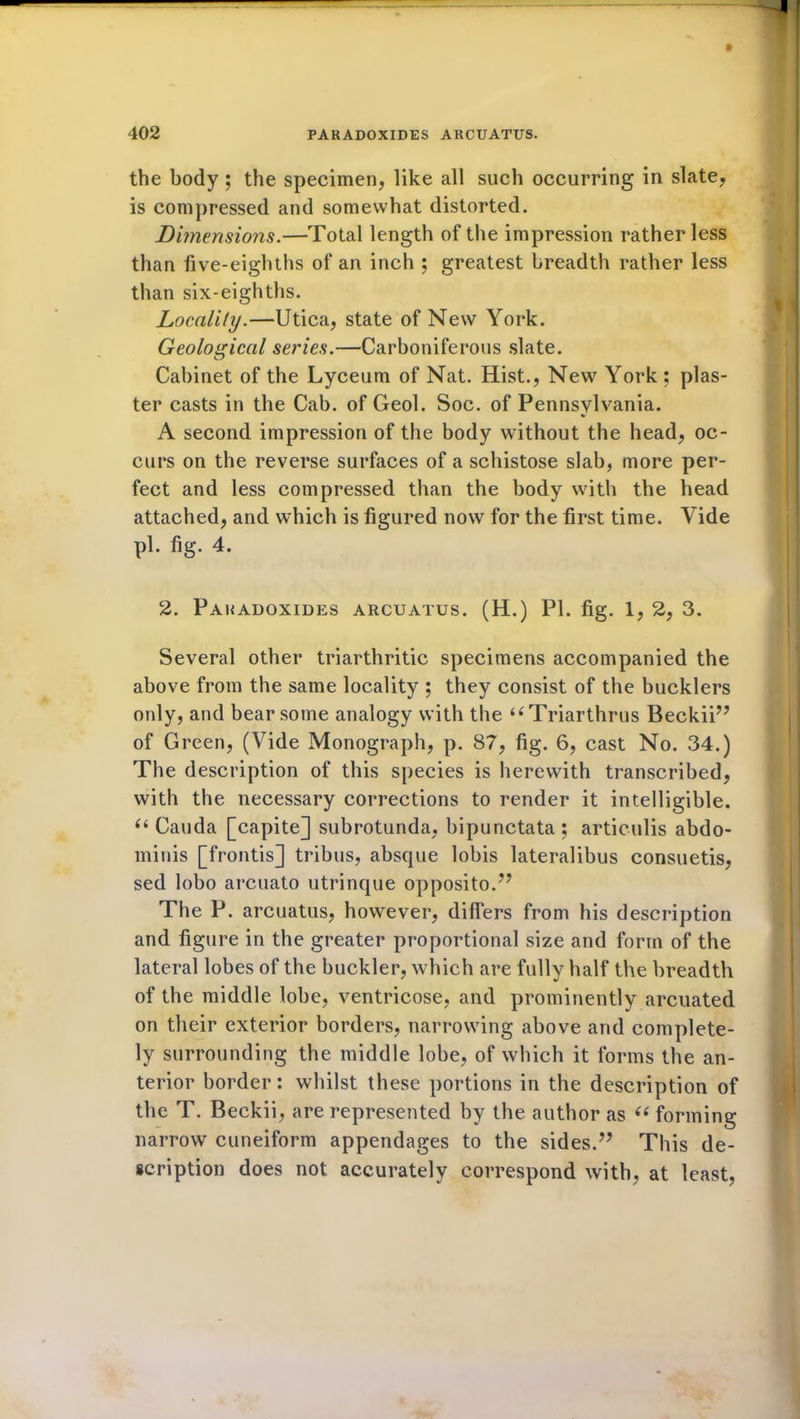 the body ; the specimen, like all such occurring in slate, is compressed and somewhat distorted. Dunensiojis.—Total length of the impression rather less than five-eighths of an inch ; greatest breadth rather less than six-eighths. Locality.—Utica, state of New York. Geological series.—Carboniferous slate. Cabinet of the Lyceum of Nat. Hist., New York ; plas- ter casts in the Cab. of Geol. Soc. of Pennsylvania. A second impression of the body without the head, oc- curs on the reverse surfaces of a schistose slab, more per- fect and less compressed than the body with the head attached, and which is figured now for the first time. Vide pi. fig. 4. 2. PARADOXIDES ARCUATUS. (H.) PI. fig. 1, 2, 3. Several other triarthritic specimens accompanied the above from the same locality ; they consist of the bucklers only, and bear some analogy with the “Triarthrus Beckii” of Green, (Vide Monograph, p. 87, fig. 6, cast No. 34.) The description of this species is herewith transcribed, with the necessary corrections to render it intelligible. (i Cauda [capite] subrotunda, bipunctata ; articulis abdo- minis [frontis] tribus, absque lobis lateralibus consuetis, sed lobo arcuato utrinque opposito.” The P. arcuatus, however, differs from his description and figure in the greater proportional size and form of the lateral lobes of the buckler, which are fullv half the breadth of the middle lobe, ventricose, and prominently arcuated on their exterior borders, narrowing above and complete- ly surrounding the middle lobe, of which it forms the an- terior border: whilst these portions in the description of the T. Beckii, are represented by the author as “ forming narrow cuneiform appendages to the sides.” This de- scription does not accurately correspond with, at least,