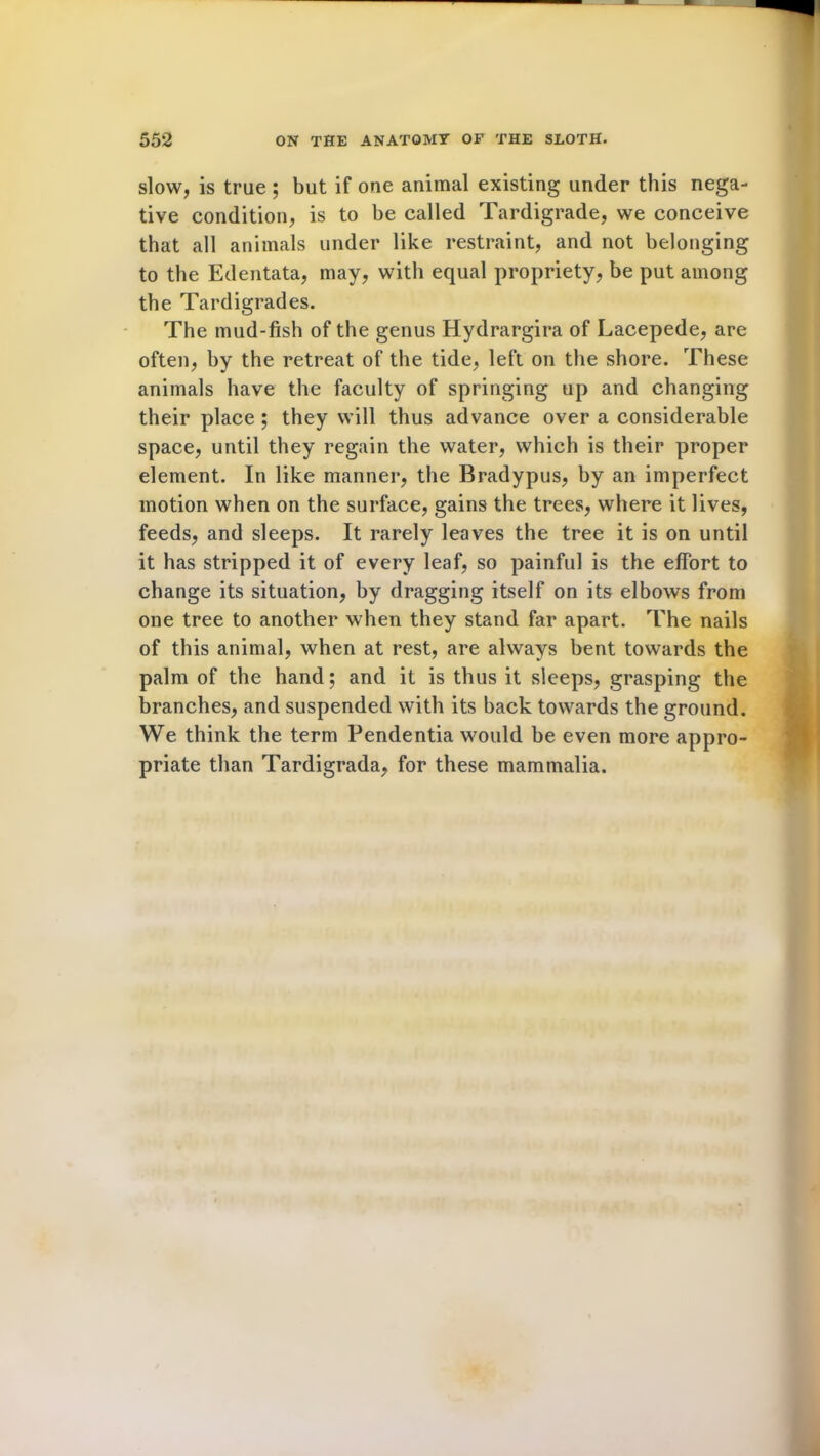 slow, is true ; but if one animal existing under this nega- tive condition, is to be called Tardigrade, we conceive that all animals under like restraint, and not belonging to the Edentata, may, with equal propriety, be put among the Tardigrades. The mud-fish of the genus Hydrargira of Lacepede, are often, by the retreat of the tide, left on the shore. These animals have the faculty of springing up and changing their place ; they will thus advance over a considerable space, until they regain the water, which is their proper element. In like manner, the Bradypus, by an imperfect motion when on the surface, gains the trees, where it lives, feeds, and sleeps. It rarely leaves the tree it is on until it has stripped it of every leaf, so painful is the effort to change its situation, by dragging itself on its elbows from one tree to another when they stand far apart. The nails of this animal, when at rest, are always bent towards the palm of the hand; and it is thus it sleeps, grasping the branches, and suspended with its back towards the ground. We think the term Pendentia would be even more appro- priate than Tardigrada, for these mammalia.