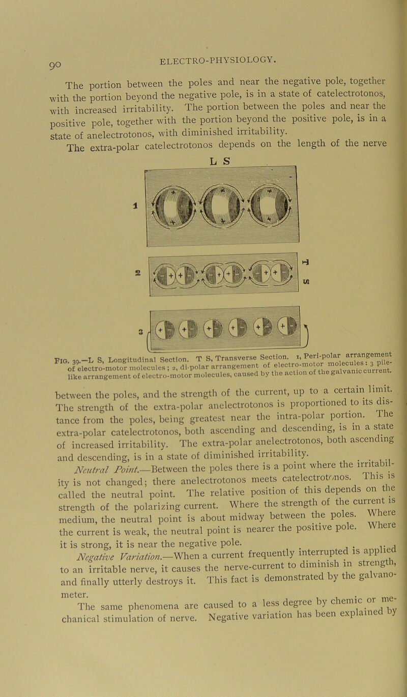 The portion between the poles and near the negative pole, together with the portion beyond the negative pole, is in a state of catelectrotonos, with increased irritability. The portion between the poles and near the positive pole, together with the portion beyond the positive pole, is in a state of anelectrotonos, with diminished iriitability. The extra-polar catelectrotonos depends on the length of the nerve L S 1 U2 Fig. 39.-L S, Longitudinal Section. T S, Transverse Section. 1, o£ electro-motor molecules ; 2, di polar arrangement J Jy^rent. like arrangement of electro-motor molecules, caused by the action of t g between the poles, and the strengtli of the cuiient, up to a certain limit. The strength of the extra-polar anelectrotonos is proportioned to its dis- tance from the poles, being greatest near tlie intra-polar portion. Ihe extra-polar catelectrotonos, both ascending and descending, is in a state of increased irritability. The extra-polar anelectrotonos, both ascending and descending, is in a state of diminished irritability. ^ ^ Neutral 7Vw/.—Between the poles there is a point where the imtabi - ityis not changed; there anelectrotonos meets catelectrotonos. This is called the neutral point. The relative position of this depends on the strength of the polarizing current. Where the strength of the current is medium, the neutral point is about midway between die poles. Wheie the current is weak, the neutral point is nearer the positive po e. it is strong, it is near the negative pole. ^ Negative Variation.—mxtn a current frequently interrupted is app i to an irritable nerve, it causes the nerve-current to diminish in strength, and finally utterly destroys it. This fact is demonstrated by the galvano- meter. The same phenomena are caused to a less degiee by chemic or chanical stimulation of nerve. Negative variation has been explained y