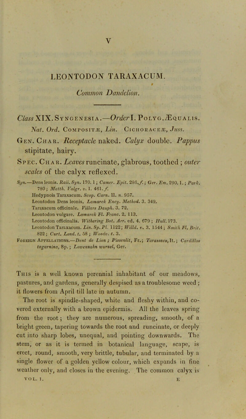 V LEONTODON TARAXACUM. Common Dandelion. C/tf«wXIX. Syngenesia.—OrderI. Polyg.,ZEq,ualis. Nat. Ord. Composite;, Lin. Cichoracete, Juss. G en. Char. Receptacle naked. Calyx double. Pappus st.ipitate, hairy. Spec. Char. Leavesruncinate, glabrous, toothed ; outer scales of the calyx reflexed. Syn.—Dens leonis. Raii. Syn. 170. 1; Camer. Epit. 28G./.; Ger. Em. 290.1.; Park. 780; Matth. Valgr. v. 1. 461./. Hedypnois Taraxacum. Scop. Cam. 11. n. 957. Leontodon Dens leonis. Lamarck Ency. Method. 3. 349. Taraxacum officinale. Villars Dauph. 3. 72. Leontodon vulgare. Lamarck FI. Franc. 2. 113. Leontodon officinalis. Withering Bot. Arr. ed. 4. 679 ; Hull. 173. Leontodon Taraxacum. Lin.Sp.Pl. 1122; Willd. v. 3. 1544; Smith FI. Brit. 822 ; Curt. Load. t. 58 ; Woodv. t. 3. Foreign Appellations.—Dent de Lion; Pissenlit, Fr.; Turassaco, It.; Cardillos tagarnina, Sp.; Lowenzalin wurzel, Ger. This is a well known perennial inhabitant of our meadows, pastures, and gardens, generally despised as a troublesome weed ; it flowers from April till late in autumn. The root is spindle-shaped, white and fleshy within, and co- vered externally with a brown epidermis. All the leaves spring from the root; they are numerous, spreading, smooth, of a bright green, tapering towards the root and runcinate, or deeply cut into sharp lobes, unequal, and pointing downwards. The stem, or as it is termed in botanical language, scape, is erect, round, smooth, very brittle, tubular, and terminated by a single flower of a golden yellow colour, which expands in fine weather only, and closes in the evening. The common calyx is VOL. i. E
