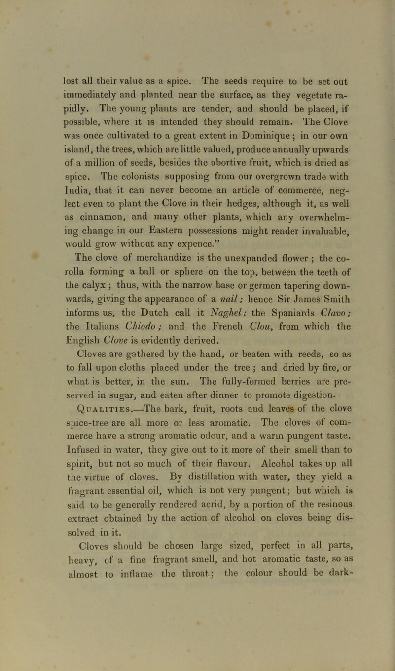 lost all their value as a spice. The seeds require to be set out immediately and planted near the surface, as they vegetate ra- pidly. The young plants are tender, and should be placed, if possible, where it is intended they should remain. The Clove was once cultivated to a great extent in Dominique; in our own island, the trees, which are little valued, produce annually upwards of a million of seeds, besides the abortive fruit, which is dried as spice. The colonists supposing from our overgrown trade with India, that it can never become an article of commerce, neg- lect even to plant the Clove in their hedges, although it, as well as cinnamon, and many other plants, which any overwhelm- ing change in our Eastern possessions might render invaluable, would grow without any expence.” The clove of merchandize is the unexpanded flower ; the co- rolla forming a ball or sphere on the top, between the teeth of the calyx ; thus, with the narrow base or germen tapering down- wards, giving the appearance of a nail; hence Sir James Smith informs us, the Dutch call it Naghel; the Spaniards Clavo; the Italians Chiodo; and the French Clou, from which the English Clove is evidently derived. Cloves are gathered by the hand, or beaten with reeds, so as to fall upon cloths placed under the tree ; and dried by fire, or what is better, in the sun. The fully-formed berries are pre- served in sugar, and eaten after dinner to promote digestion. Qualities.—The bark, fruit, roots and leaves of the clove spice-tree are all more or less aromatic. The cloves of com- merce have a strong aromatic odour, and a warm pungent taste. Infused in water, they give out to it more of their smell than to spirit, but not so much of their flavour. Alcohol takes up all the virtue of cloves. By distillation with water, they yield a fragrant essential oil, which is not very pungent; but which is said to be generally rendered acrid, by a portion of the resinous extract obtained by the action of alcohol on cloves being dis- solved in it. Cloves should be chosen large sized, perfect in all parts, heavy, of a fine fragrant smell, and hot aromatic taste, so as almost to inflame the throat; the colour should be dark-