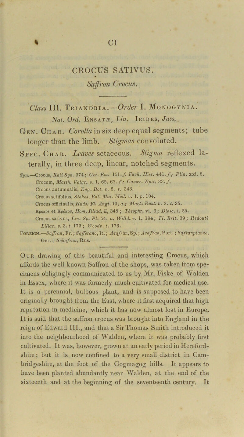 CROCUS SAT1VUS. Saffron Crocus. Class III. Triandria.—Order I. Monogynia. Nat. Old. Ensata:, Lin. Irides, Juss. . Gen. Char. Corolla in six deep equal segments; tube longer than the limb. Stigmas convoluted. Spec. Char. Leaves setaceous. Stigma reflexed la- terally, in three deep, linear, notched segments. Syn.—Crocus, Raii Syn. 374; Ger. Em. 151./. Fuch. Hist. 441./; Plin. xxi. 6. Crocum, Matth. Valgr. v. 1. 62. 63./; Gamer. Epit. 33./. Crocus autumnalis, Eng. Bot. v. 5. t. 343. Crocus setifolius, Stokes, Bot. Mat. Med. v. 1. p. 104. Crocus officinalis, Huds. FI. Angl. 13, a ; Mart. Rust. v. 2. t. 35. KpoKos et Kpoicov, Horn. Illiad, E, 348 ; Theophr. vi. 6; Diosc. i. 25. Crocus sat.ivus, Lin. Sp. PI. 54, a. Willd. v. 1. 194; FI. Brit. 39 ; Redoute Liliac. v. 3. t. 173 ; Woodv. t. 176. Foreign.—Saffran, Fr.; Safferano, It.; Azafran, Sp.; Acafrao, Port.; Safranplanze, Ger.; Schafran, Rus. Our drawing of this beautiful and interesting Crocus, which affords the well known Saffron of the shops, was taken from spe- cimens obligingly communicated to us by Mr. Fiske of Walden in Essex, where it was formerly much cultivated for medical use. It is a perennial, bulbous plant, and is supposed to have been originally brought from the East, where it first acquired that high reputation in medicine, which it has now almost lost in Europe. It is said that the saffron crocus was brought into England in the reign of Edward III., and that a Sir Thomas Smith introduced it into the neighbourhood of Walden, where it was probably first cultivated. It was, however, grown at an early period in Hereford- shire ; but it is now confined to a very small district in Cam- bridgeshire, at the foot of the Gogmagog hills. It appears to have been planted abundantly near Walden, at the end of the sixteenth and at the beginning of the seventeenth century. It