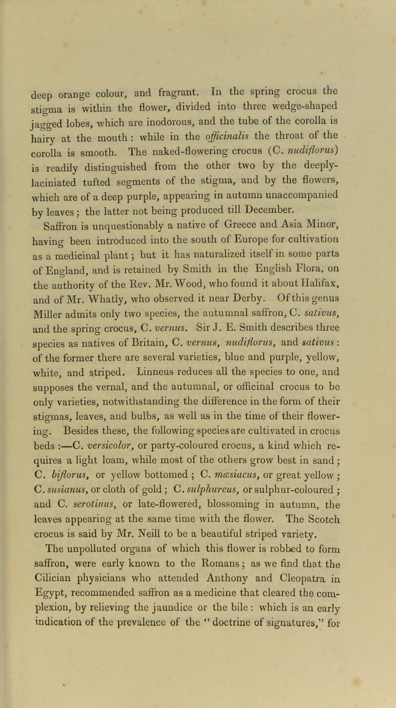 deep orange colour, and fragrant. In the spring crocus the stio-ma is within the flower, divided into three wedge-shaped jagged lobes, which are inodorous, and the tube of the corolla is hairy at the mouth ; while in the officinalis the thioat of the corolla is smooth. The naked-flowering crocus (C. nudiflorus) is readily distinguished from the other two by the deeply- laciniated tufted segments of the stigma, and by the flowers, which are of a deep purple, appearing in autumn unaccompanied by leaves; the latter not being produced till December. Saffron is unquestionably a native of Greece and Asia Minor, having been introduced into the south of Europe for cultivation as a medicinal plant; but it has naturalized itself in some parts of England, and is retained by Smith in the English Flora, on the authority of the Rev. Mr. Wood, who found it about Halifax, and of Mr. Whatly, who observed it near Derby. Of this genus Miller admits only two species, the autumnal saffron, C. sativus, and the spring crocus, C. vernus. Sir J. E. Smith describes three species as natives of Britain, C. vernus, nudiflorus, and sativus : of the former there are several varieties, blue and purple, yellow, white, and striped. Linneus reduces all the species to one, and supposes the vernal, and the autumnal, or officinal crocus to be only varieties, notwithstanding the difference in the form of their stigmas, leaves, and bulbs, as well as in the time of their flower- ing. Besides these, the following species are cultivated in crocus beds :—C. versicolor, or party-coloured crocus, a kind which re- quires a light loam, while most of the others grow best in sand ; C. biflorus, or yellow bottomed ; C. mcesiacus, or great yellow ; C. susianus, or cloth of gold; C. sulphurous, or sulphur-coloured ; and C. serotinus, or late-flowered, blossoming in autumn, the leaves appearing at the same time with the flower. The Scotch crocus is said by Mr. Neill to be a beautiful striped variety. The unpolluted organs of which this flower is robbed to form saffron, were early known to the Romans; as we find that the Cilician physicians who attended Anthony and Cleopatra in Egypt, recommended saffron as a medicine that cleared the com- plexion, by relieving the jaundice or the bile : which is an early indication of the prevalence of the “ doctrine of signatures,” for