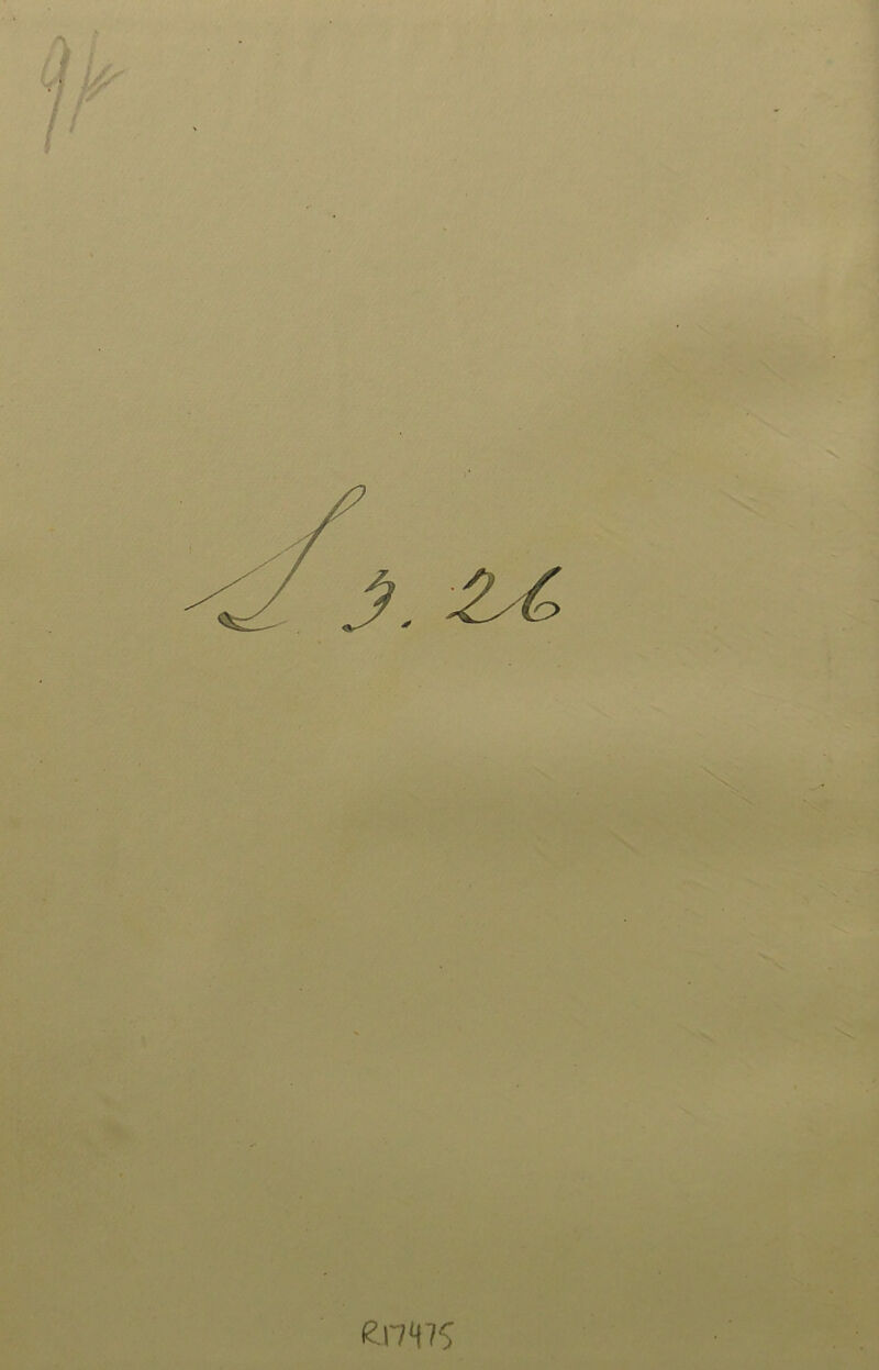 3.