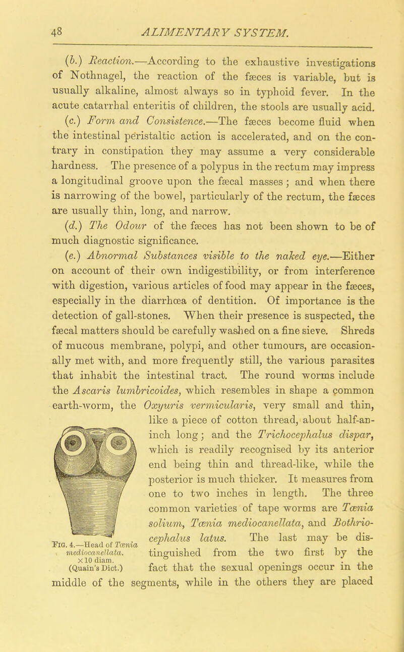 (b.) Reaction.—According to the exhaustive investigations of Nothnagel, the reaction of the faeces is variable, but is usually alkaline, almost always so in typhoid fever. In the acute catarrhal enteritis of children, the stools are usually acid. (c.) Form ancl Consistence.—The faeces become fluid when the intestinal peristaltic action is accelerated, and on the con- trary in constipation they may assume a very considerable hardness. The presence of a polypus in the rectum may impress a longitudinal groove upon the faecal masses ; and when there is narrowing of the bowel, particularly of the rectum, the faeces are usually thin, long, and narrow. (d.) The Odour of the faeces has not been shown to be of much diagnostic significance. (e.) Abnormal Substances visible to the naked eye.—Either on account of their own indigestibility, or from interference with digestion, various articles of food may appear in the faeces, especially in the diarrhoea of dentition. Of importance is the detection of gall-stones. When their presence is suspected, the faecal matters should be carefully washed on a fine sieve. Shreds of mucous membrane, polypi, and other tumours, are occasion- ally met with, and more frequently still, the various parasites that inhabit the intestinal tract. The round worms include the Ascaris lumbricoides, which resembles in shape a common earth-worm, the Oxyuris vermicularis, very small and thin, like a piece of cotton thread, about half-an- inch long; and the Trichoceplialus dispar, which is readily recognised by its anterior end being thin and thread-like, while the posterior is much thicker. It measures from one to two inches in length. The three common varieties of tape worms are Taenia solium, Taenia mediocanellata, and Bothrio- cephalus latus. The last may be dis- tinguished from the two first by the fact that the sexual openings occur in the middle of the segments, while in the others they are placed Tig. i.—Head of Tcenia mediocanellata. xlO diam. (Quain’s Diet.)