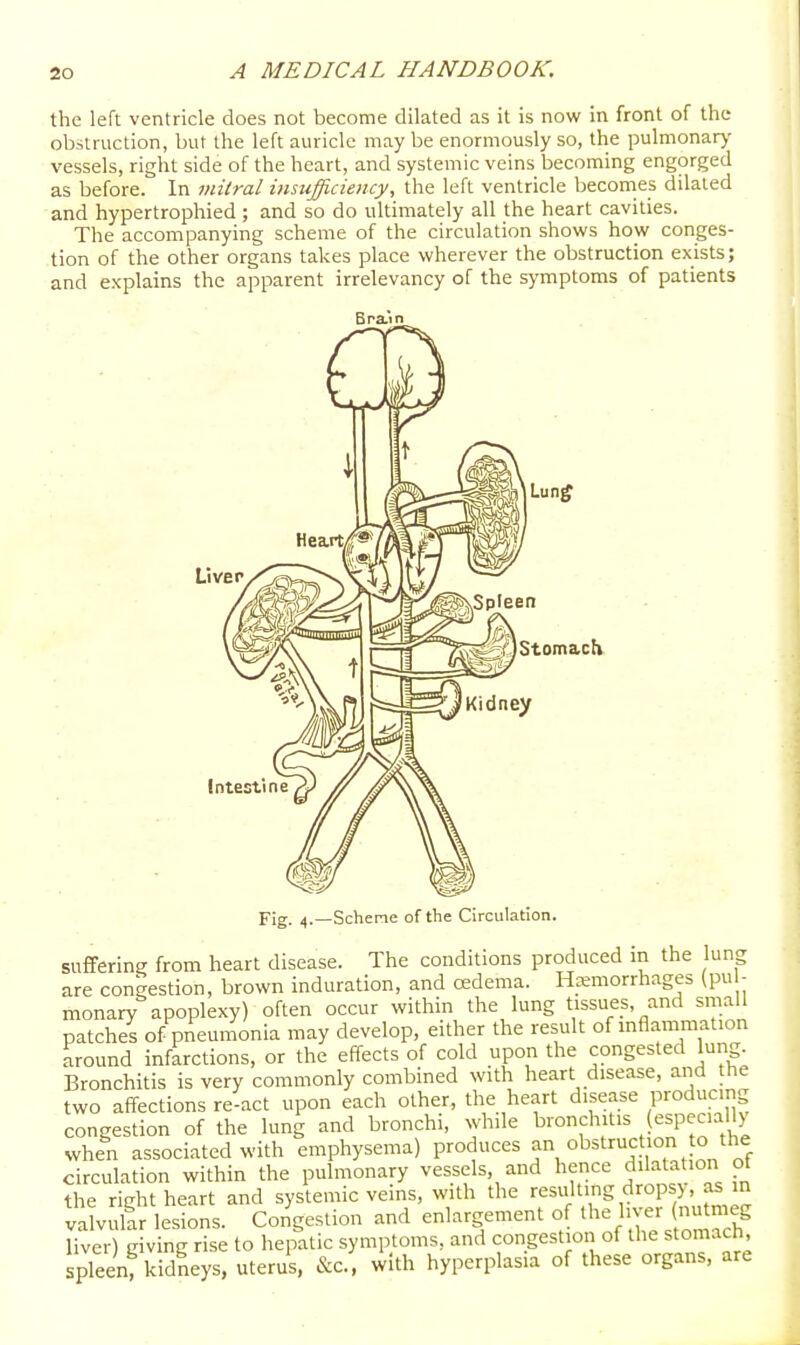 the left ventricle does not become dilated as it is now in front of the obstruction, but the left auricle may be enormously so, the pulmonar)' vessels, right side of the heart, and systemic veins becoming engorged as before. In mitral insufficiency, the left ventricle beconies dilated and hypertrophied ; and so do ultimately all the heart cavities. The accompanying scheme of the circulation shows how conges- tion of the other organs takes place wherever the obstruction exists; and explains the apparent irrelevancy of the symptoms of patients BrSLin Stomach Intestine Fig. 4.—Schene of the Circulation. suffering from heart disease. The conditions produced in the lung are congestion, brown induration, and oedema. Haemorrhages (pu - monary apoplexy) often occur within the lung tissues, and small patches of pneunionia may develop, either the result of mflammation Lround infarctions, or the effects of cold upon the congested lung. Bronchitis is very commonly combined with heart disease, and the two affections re-act upon each other, the heart disease producing congestion of the lung and bronchi, while bronchitis (especially when associated with emphysema) P-'oduces an obstruction o the circulation within the pulmonary vessels, and hence dilatation ot the right heart and systemic veins, with the resulting drops), as m vdvufar lesions. Congestion and enlargement of /-'f/(^™^/ liver) giving rise to hepatic symptoms, and congestion of the stomach spleenf kidneys, uterus, &c., with hyperplasia of these organs, are