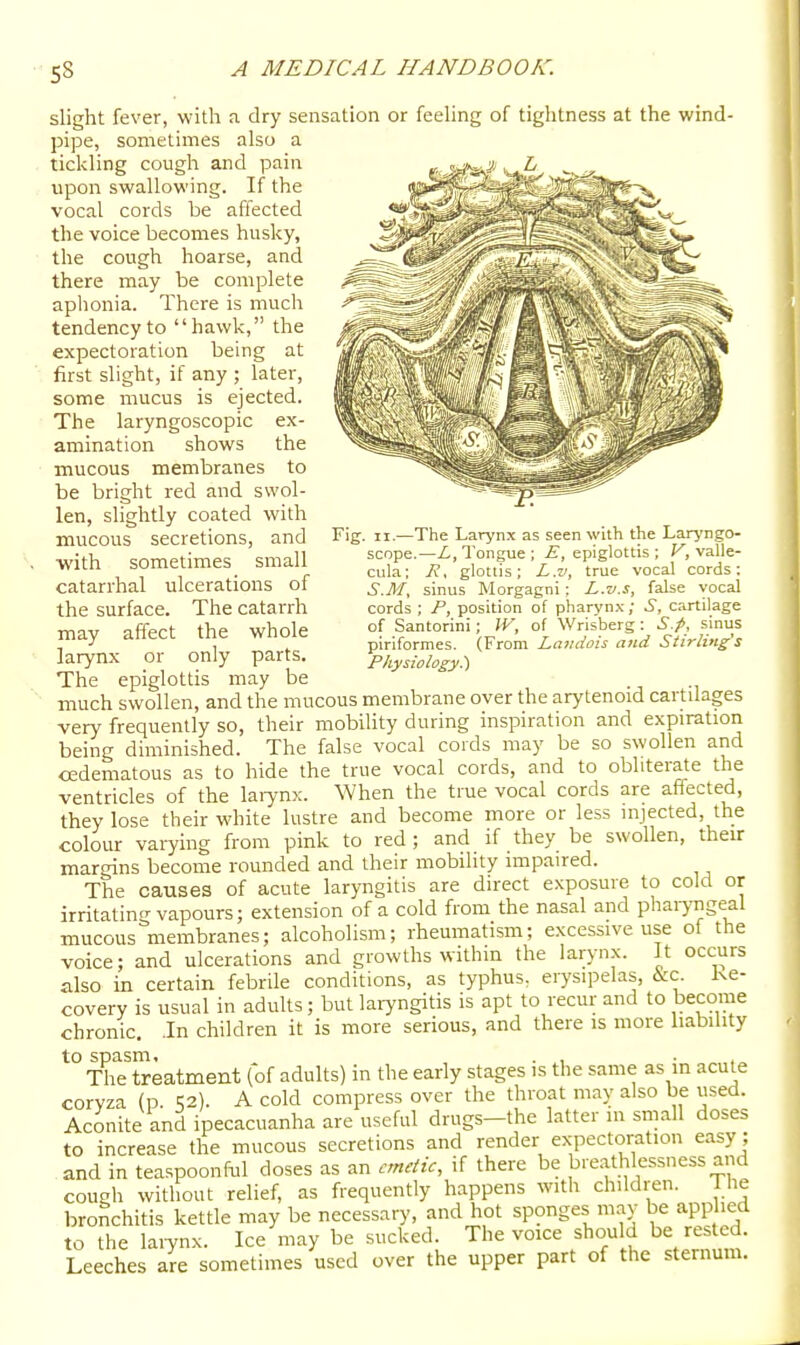 Fig. II.—The Larynx as seen with the Laryngo- scope.—L, Tongue ; E, epiglottis ; V, valle- cula; Ji, glottis; L.v, true vocal cords: S.M, sinus Morgagni; L.v.s, false vocal cords ; P, position of pharynx; S, cartilage of Santorini; IV, of Wrisberg: S.fi, siniis piriformes. (From Landois and Stirling's Physiology.) slight fever, with <i dry sensation or feehng of tightness at the wind- pipe, sometimes also a tickling cough and pain upon swallowing. If the vocal cords be affected the voice becomes husky, the cough hoarse, and there may be complete aphonia. There is much tendency to hawk, the expectoration being at first slight, if any ; later, some mucus is ejected. The laryngoscopic ex- amination shows the mucous membranes to be bright red and swol- len, slightly coated with mucous secretions, and ■with sometimes small catarrhal ulcerations of the surface. The catarrh may affect the whole larynx or only parts. The epiglottis may be ■ much swollen, and the mucous membrane over the arytenoid cartilages very frequently so, their mobility during inspiration and expiration being diminished. The false vocal cords may be so swollen and cedematous as to hide the true vocal cords, and to obliterate the ventricles of the laiynx. When the true vocal cords are affected, they lose their white lustre and become more or less injected, the colour varying from pink to red ; and if they be swollen, their margins become rounded and their mobility impaired. The causes of acute laryngitis are direct exposure to cold or irritating vapours; extension of a cold from the nasal and pharyngeal mucous meiTibranes; alcoholism; rheumatism; excessive use of the voice; and ulcerations and growths within the laryn.x. It occurs also in certain febrile conditions, as typhus, erysipelas, &c. Re- covery is usual in adults; but laryngitis is apt to recur and to become chronic. .In children it is more serious, and there is more liabihty to spasm. . , . , The treatment (of adults) in the early stages is the same as in acute corvza (p ^a). A cold compress over the throat may also be used. Aconite and ipecacuanha are useful drugs-the latter in small doses to increase the mucous secretions and render expectoration easy; and in teaspoonful doses as an emetic, if there be breathlessness and cough without relief, as frequently happens with children. he bronchitis kettle may be necessary, and hot sponges m.ay be applied to the laiynx. Ice may be sucked. The voice should be rested. Leeches are sometimes used over the upper part of the sternum.
