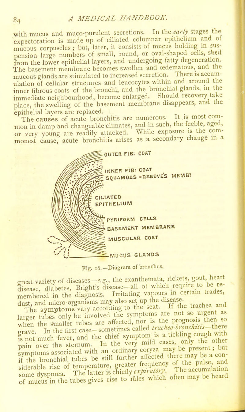 with mucus and muco-purulent secretions. In the early stages the expectoration is made up of ciliated cohminar epithehum and of mucous corpuscles ; but, later, it consists of mucus holdmg m sus- pension large numbers of small, round, or oval-shaped c-ells, shed from the lower epithelial layers, and undergoing fatty degeneration. The basement membrane becomes swollen and oedematous, and the mucous glands are stimulated to increased secretion. There is accum- ulation of cellular structures and leucocytes within and around the inner fibrous coats of the bronchi, and the bronchial glands, in the immediate neighbourhood, become enlarged. Should recovery take place, the swelling of the basement membrane disappears, and the epithelial layers are replaced. . The causes of acute bronchitis are numerous. It is most com- mon in damp and changeable climates, and in such, the feeble, aged, or very young are readily attacked. While exposure is the com- monest cause, acute bronchitis arises as a secondary change m a OUTER FIB-. COAT INNER fib: COAT SQUAMOUS =PEBOVES MEtrtB! ClUATED EPITHEUIUM PYEllFORM CELLS BASEMENT MEMBRANE MUSCULAR COAT MUCUS GLANDS Fig. i6.—Diagram of bronchus. great variety of diseases-..,-., the exanthemata, rickets, got, heart disease, diabetes, Bright's disease-all ol -h'^^^'-^qX-°dis- membered in the diagnosis. Irritating vapours m certain trades, dust, and micro-organisms may also set up the disease The symptoms vary according to the seat. If the trachea ana larger tubes only be involved the symptoms are not so urgent as whin the ImallJr tubes are afiected, nor is the PJ0gn°;-.'hen so lave In the first case-sometimes called W/^^-'W»/«-there I not much fever, and the chief symptom is a tickling cough wnth pa^o^er the sternum. In the very mild cases, only the other svmDtoms associated with an ordinary coryza may be present; but f' l e b Lchial tubes be still further affected ^1-- n,ay ^,^^^a con^ siderable rise of temperature, greater hcquency SfjlJ^^^P^^^^i^f^J '^^^S^^:^^^^ oS^^rheard