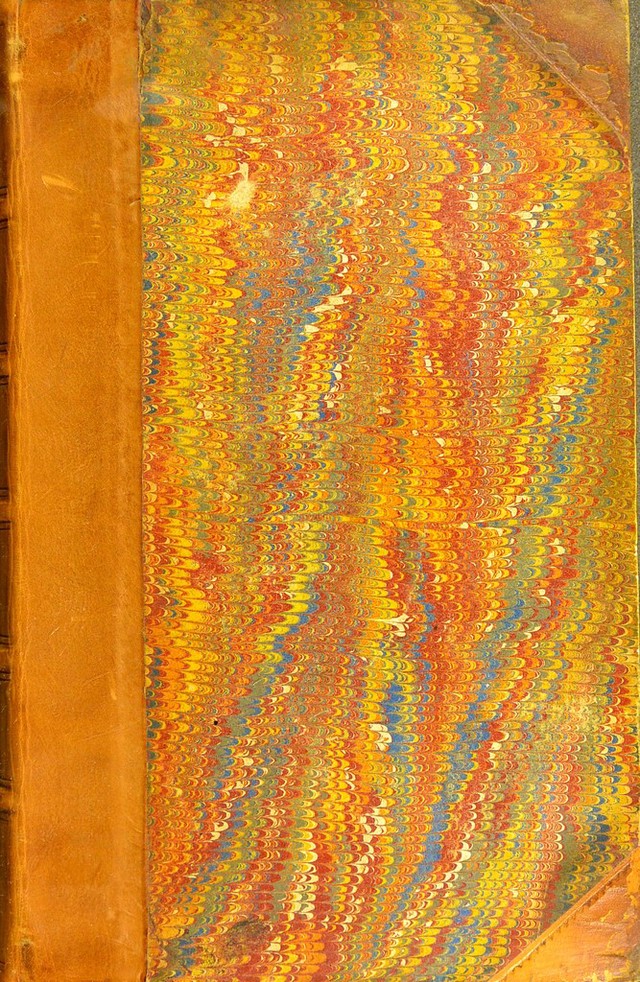 No text description is available for this image