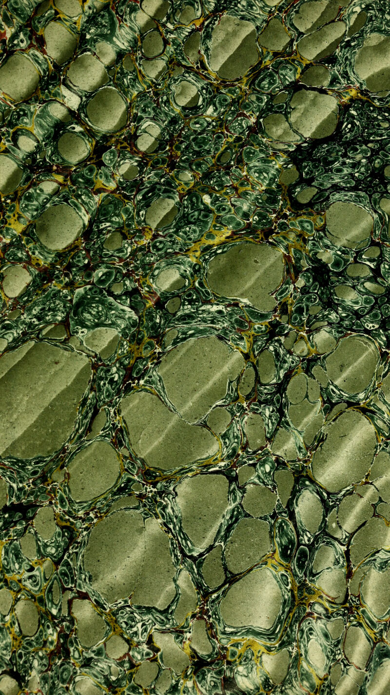 \ ;,V ' > ' / VvK 1 * ';vi£ ,• }.■ iV Dp ■ : V'<:^^aS9C JmeS