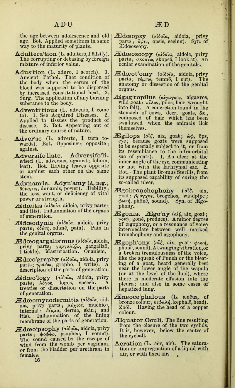 ADU MB the age between adolescence and old age. Bot. Applied sometimes in same way to the maturity of plants. Adultera'tion (L. adultero,I falsify). The corrupting or debasing by foreign mixture of inferior value. Adus'tion (L. aduro, I scorch). 1. Ancient Pathol. That condition of the body when the serum of the blood was supposed to he dispersed by increased constitutional heat. 2. Surg. The application of any burning substance to the body. Adventitious (L. advenio, I come to). 1. See Acquired Diseases. 2. Applied to tissues the product of disease. 3. Bot. Appearing out of the ordinary course of nature. Adver'se (L. adverto, I turn to- wards). Bot. Opposing; opposite; against. Adversifo'liate. AdversifoTi- ated (L. adversus, against; folium, leaf). Bot. Having leaves opposite or against each other on the same stem. Adynam'ia. Adyn'amy (A, neg.; Svvap.i<;, dunamis, power). Debility; the loss, want, or deficiency of vital power or strength. JEdoeitis (alSoia, aidoia, privy parts; and itis). Inflammation of the organs of generation. JEdceodynia (alSoia, aidoia, privy parts; dSvvr], odune, pain). Pain in the genital orgrns. JEdoeogargalis'mus (alSoTa,aidoia, privy parts; yapyakC£<a, gargalizo, I tickle). Masturbation. Onanism. JEdoeo'graphy (alSoJa, aidoia, privy parts; ypafyu, grapho, I write). A description of the parts of generation. JEdoeo'logy (alSoia, aidoia, privy parts; Aoyos, logos, speech. A treatise or dissertation on the parts of generation. JEdoeomycodermitis (aiSola, aid- oia, privy parts; fj-vxios, muchiO', internal; Sep/aa, derma, skin; and itis). Inflammation of the lining membrane of the parts of generation. JEdceo'psophy (alSoia, aidoia, privy parts; ^o^e'w, psopheS, I sound). The sound caused by the escape of wind from the womb per vaginam, or from the bladder per urethram in females. 16 JEdoeopsy (alSoia, aidoia, privy parts; ot/jig, opsis, seeing). Syn. of ^Edoeoscopy. JEdceoscopy (alSoia, aidoia, privy parts; a-Koneu), skopeo, I look at). An ocular examination of the genitals. JEdoeot'omy (alSoia, aidoia, privy parts; t4[xvoj, temno, I cut). The anatomy or dissection of the genital organs. JEgag'ropilus (ouyaypo?, aigagros, wild goat: 7uA.os, pilos, hair wrought into felt). A concretion found in the stomach of cows, deer, goats, &c., composed of hair which has been swallowed when the animals lick themselves. JEgilops (atf, aix, goat; w<f>, ops, eye; because goats were supposed to be especially subject to it, or from its resemblance to the infra-orbital sac of goats). 1. An ulcer at the inner angle of the eye, communicating or not with the lachrymal sac. 2. Bot. The plant Bromus Sterilis, from its supposed capability of curing the so-called ulcer. JEgobronchophony (aif, aix, goat; (3poyxos, brogchos, windpipe ; <j)<Dvrj, phone, sound). Syn. of iEgo- phony. JEgonia. AEgo'ny (al£, aix, goat; yovrj, gone, produce). A minor degree of aegophony, or a resonance of voice intermediate between well marked bronchophony and segophony. JEgoph'ony (altj, aix, goat; <juavrj, phone, sound). A twanging vibration,or a broken tremulousness of the voice, like the squeak of Punch or the bleat- ing of a goat, heard generally best near the lower angle of the scapula (or at the level of the fluid), where there is moderate effusion into the pleura; and also in some cases of liepatized lung. JEneoce'phalous (L. seneus, of bronze colour; /ce^aAij, kephale,head). Zool. Having the head of a copper colour. ADquator Oculi. The line resulting from the closure of the two eyelids. It is, however, below the centre of the eyeball. Aeration (L. aer, air). The satura- tion or impregnation of a liquid with air, or with fixed air.