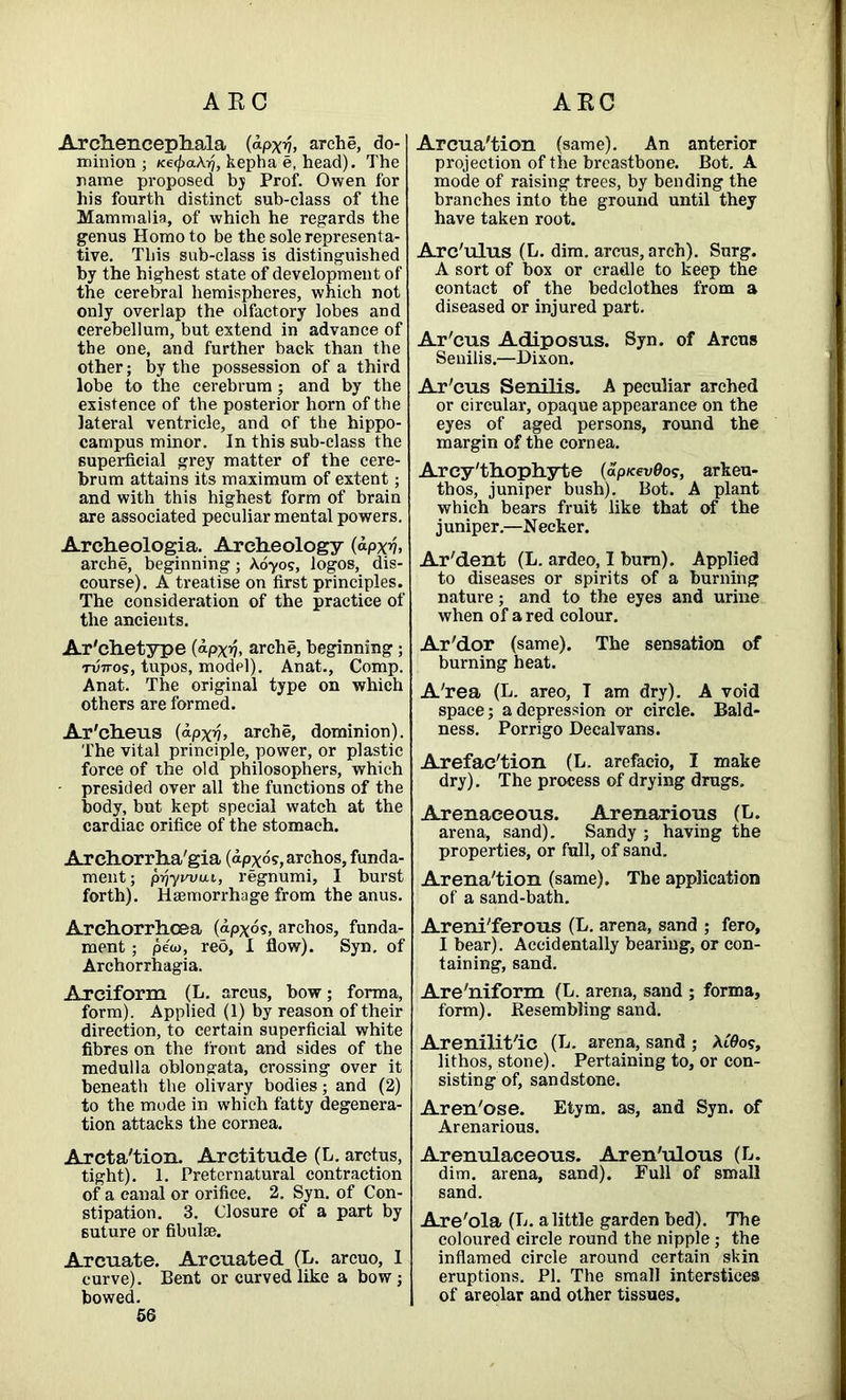 ARC ARC Arclieneephala (apxv, arche, do- minion ; Ke(f)a\ri, kepha e, head). The name proposed bj Prof. Owen for his fourth distinct sub-class of the Mammalia, of which he regards the genus Homo to be the sole representa- tive. This sub-class is distinguished by the highest state of development of the cerebral hemispheres, which not only overlap the olfactory lobes and cerebellum, but extend in advance of the one, and further back than the other; by the possession of a third lobe to the cerebrum; and by the existence of the posterior horn of the lateral ventricle, and of the hippo- campus minor. In this sub-class the superficial grey matter of the cere- brum attains its maximum of extent; and with this highest form of brain are associated peculiar mental powers. Archeologia. Archeology (apxy, arche, beginning; Ao-yos, logos, dis- course). A treatise on first principles. The consideration of the practice of the ancients. Ar'chetype {o-pxn* arche, beginning; Twos, tupos, modpl). Anat., Comp. Anat. The original type on which others are formed. Ar'cheus (*pxy> arche, dominion). The vital principle, power, or plastic force of the old philosophers, which presided over all the functions of the body, but kept special watch at the cardiac orifice of the stomach. Ar chorrha'gia (apx os, arehos, funda- ment; pr/ywui, regnumi, I burst forth). Haemorrhage from the anus. Archorrhcea (apxos, arehos, funda- ment ; pew, red, I flow). Syn. of Archorrhagia. Arm form (L. arcus, bow; forma, form). Applied (1) by reason of their direction, to certain superficial white fibres on the front and sides of the medulla oblongata, crossing over it beneath the olivary bodies; and (2) to the mode in which fatty degenera- tion attacks the cornea. Arcta'tion. Arctitude (L. arctus, tight). 1. Preternatural contraction of a canal or orifice. 2. Syn. of Con- stipation. 3. Closure of a part by suture or fibulae. Arcuate. Arcuated (L. arcuo, 1 curve). Bent or curved like a bow ; bowed. 56 Arcua'tion (same). An anterior projection of the breastbone. Bot. A mode of raising trees, by bending the branches into the ground until they have taken root. Arc'ulus (L. dim. arcus, arch). Surg. A sort of box or cradle to keep the contact of the bedclothes from a diseased or injured part. Ar'cus Adiposus. Syn. of Arcus Senilis.—Dixon. Ar'cus Senilis. A peculiar arched or circular, opaque appearance on the eyes of aged persons, round the margin of the cornea. Arey'thopliyte (ap/eev0o?, arkeu- thos, juniper bush). Bot. A plant which bears fruit like that of the j uniper.—N ecker. Ar'dent (L. ardeo, I burn). Applied to diseases or spirits of a burning nature; and to the eyes and urine when of a red colour. Ar'dor (same). The sensation of burning heat. A'rea (L. areo, T am dry). A void space; a depression or circle. Bald- ness. Porrigo Decalvans. Arefac'tion (L. arefacio, I make dry). The process of drying drugs. Arenaceous. Arenarious (E. arena, sand). Sandy ; having the properties, or full, of sand. Arena'tion (same). The application of a sand-bath. Areni'ferous (L. arena, sand ; fero, I bear). Accidentally bearing, or con- taining, sand. Are'niform (L. arena, sand ; forma, form). Resembling sand. Arenilit'ic (L. arena, sand ; Ai'0o?, lithos, stone). Pertaining to, or con- sisting of, sandstone. Aren'ose. Etym. as, and Syn. of Arenarious. Arenulaceous. Aren'ulous (L. dim. arena, sand). Bull of small sand. Are'ola (L. a little garden bed). The coloured circle round the nipple; the inflamed circle around certain skin eruptions. PI. The small interstices of areolar and other tissues.