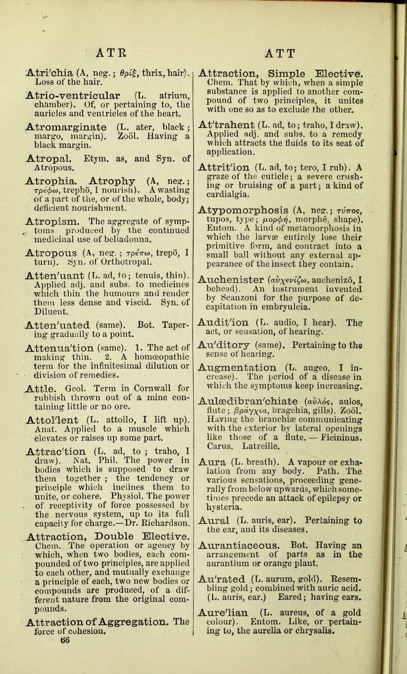 Atri'ehia (A, neg.; 6pig, thrix, hair). Loss of the hair. Atrio-ventricular (L. atrium, chamber). Of, or pertaining to, the auricles and ventricles of the heart. Atromarginate (L. ater, black; margo, margin). Zool. Having a black margin. Atropal. Etym. as, and Syn. of Atropous. Atrophia. Atrophy (A, neg.; rpe'ipw, trepho, 1 nourish). A wasting of a part of the, or of the whole, body; deficient nourishment. Atropism. The aggregate of symp- toms produced by the continued medicinal use of belladonna. Atropous (A, neg. ; rpeVto, trepo, I turn). Syn. of Orthotropal. Atten'uant (L. ad, to; tenuis, thin). Applied adj. and subs, to medicines which thin the humours and render them less dense and viscid. Syn. of Diluent. Attenuated (same). Bot. Taper- ing gradually to a point. Attenua'tion (same). 1. The act of making thin. 2. A homoeopathic term for the infinitesimal dilution or division of remedies. Attle. Geol. Term in Cornwall for rubbish thrown out of a mine con- taining little or no ore. Attol'lent (L. attollo, I lift up). Anat. Applied to a muscle which elevates or raises up some part. Attraction (L. ad, to ; traho, I draw). Nat. Phil. The power in bodies which is supposed to draw them together ; the tendency or principle which inclines them to unite, or cohere. Physiol. The power . of receptivity of force possessed by the nervous system, up to its full capacity for charge.—Dr. Richardson. Attraction, Double Elective. Chem. The operation or agency by which, when two bodies, each com- pounded of two principles, are applied to each other, and mutually exchange a principle of each, two new bodies or compounds are produced, of a dif- ferent nature from the original com- pounds. Attraction of Aggregation. The Attraction, Simple Elective. Chem. That by which, when a simple substance is applied to another com- pound of two principles, it unites with one so as to exclude the other. At'tralient (L. ad, to; traho, I draw). Applied adj. and subs, to a remedy which attracts the fluids to its seat of application. Attrition (L. ad, to; tero, I rub). A graze of the cuticle; a severe crush- ing or bruising of a part; a kind of cardialgia. Atypomorphosis (A, neg.; tuttos, tupos, type; pLop<t>rj, morphe, shape). Entom. A kind of metamorphosis in which the larvae entirely lose their primitive form, and contract into a small ball without any external ap- pearance of the insect they contain. Auclienister (avxevC^o), auchenizo, I behead). An instrument invented by Scanzoni for the purpose of de- capitation in embryulcia. Audit'ion (L. audio, I hear). The act, or sensation, of hearing. Au'ditory (same). Pertaining to the sense of hearing. Augmentation (L. augeo, I in- crease) . The period of a disease in which the symptoms keep increasing. Aulasdibran'chiate (av\6?, aulos, flute; /3pdyxia, bragehia, gills). Zool. Having the branchiae communicating with the exterior by lateral openings like those of a flute. — Ficininus. Carus. Latreille. Aura (L. breath). A vapour or exha- lation from any body. Path. The various sensations, proceeding gene- rally from below upwards, which some- times precede an attack of epilepsy or hysteria. Aural (L. auris, ear). Pertaining to the ear, and its diseases. Aurantiaceous. Bot. Having an arrangement of parts as in the aurantium or orange plant. Au'rated (L. aurum, gold). Resem- bling gold; combined with auric acid. (L. auris, ear.) Eared; having ears. Aure'lian (L. aureus, of a gold colour). Entom. Like, or pertain-