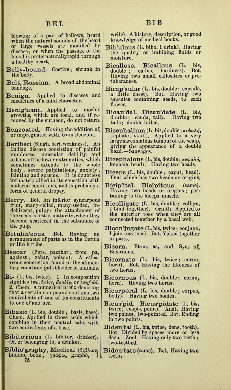 BEL BIB blowing of a pair of bellows, heard when the natural sounds of the heart or large vessels are modified by- disease ; or when the passage of the blood is preternaturallyrapid through ! a healthy heart. ! Belly-bound. Costive; shrunk in the belly. Belt, Russian. A broad abdominal bandage. Benign. Applied to diseases and medicines of a mild character. Benig'nant. Applied to morbid growths, which are local, and if re- moved by the surgeon, do not return. Benzoated. Having the addition of, or impregnated with, Gum Benzoin. Beriberi (Singh, beri, weakness). An Indian disease consisting of painful numbness, muscular debi ity, and oedema of the lower extremities, which sometimes extends to the whole body ; severe palpitations; anxiety ; fainting and spasms. It is doubtless intimately allied in its causation with malarial conditions, and is probably a form of general dropsy. Berry. Bot. An inferior syncarpous fruit, many-celled, many-seeded, in- dehiscent, pulpy; the attachment of the seeds is lostat maturity, when they become scattered in the substance of the pulp. Betulin'eous. Bot. Having an arrangement of parts as in the Betula or Birch tribe. Bezoar (Pers. pazahar; from pa, against; zahar, poison). A calca- reous concretion found in the alimen- tary canal and gall-bladder of animals. Bi- (L. bis, twice). 1. Tn composition signifies two, twice, doubly, or twofold. 2. Chem. A numerical prefix denoting that a certain c impound contains two equivalents of one of its constituents to one of another. Bibasic (L. bis, double ; basis, base). Chem. Applied to those acids which combine in their neutral salts with two equivalents of a base. Bibito'rious (L. bibitor, drinker). Of, or belonging to, a drinker. Biblio'graphy, Medical {pifikiov, biblion, book; ypa^co, grapho, I 75 write). A history, description, or good knowledge of medical books. Bib'ulous (L. bibo, I drink). Having the quality of imbibing fluids or moisture. Bicallose. Bicallous (L. bis, double ; callus, hardness). Bot. Having two small callosities or pro- tuberances. Bicap'sular (L. bis, double; capsula, a little chest). Bot. Having two capsules containing seeds, to each flower. Bicau'dal. Bicau'date (L. bis, double; cauda, tail). Having two tails; double-tailed. Bicephalium (L. bis, double; KefyaXy, kephale, skull). Applied to a very large sarcomatous tumourof the scalp, giving the appearance of a double head.—Sauvages. Bicephalous (L. bis, double; Ke^aXrj, kephale, head). Having two heads. Biceps (L. bis, double; caput, head). That which has two heads or origins. Bicip'ital. Bicipitous (same). Having two heads or origins; per- taining to the biceps muscle. Bicolligate (L. bis, double; colligo, I bind together). Ornith. Applied to the anterior toes when they are all connected together by a basal web. Bicon'jugate (L. bis, twice; conjugo, I join together). Bot. Yoked together in pairs. Bicorn. Etym. as, and Syn. of, Bicornous. Bicornate (L. his, twice; cornu, horn). Bot. Having the likeness of two horns. Bicornous (L. bis, double; cornu, horn). Having two horns. Bicorporal (L. bis, double; corpus, body). Having two bodies. Bicus'pid. Bicus'pidate (L. bis, twice; cuspis, point). Anat. Having two points; two-pointed. Bot. Ending in two points. Biden'tal (L. bis, twice; dens, tooth). Bot. Divided by spaces more or less deep. Zool. Having only two teeth; two-teethed. Biden'tate (same). Bot. Having two teeth.