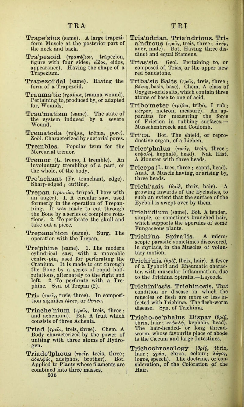 Trape'zius (same). A large trapezi- form Muscle at the posterior part of the neck and back. Tra'pezoid (rpait4£lov, trapezion, figure with four sides; elSos, eidos, appearance). Having the shape of a Trapezium. Trapezoi'dal (same). Having the form of a Trapezoid. Trauma'tic (rpavpa, trauma, wound). Pertaining to, produced by, or adapted for. Wounds. Trau'matism (same). The state of the system induced by a severe Wound. Trematoda (rprjpa, trema, pore). Zool. Characterized by suctorial pores. Trembles. Popular term for the Mercurial tremor. Tremor (L. tremo, I tremble). An involuntary trembling of a part, or the whole, of the body. Tre'nchant (Fr. tranchant, edge). Sharp-edged; cutting. Trepan (rpyirdcj, trupao, I bore with an auger). 1. A circular saw, used formerly in the operation of Trepan- ning. It was made to cut through the Bone by a series of complete rota- tions. 2. To perforate the skull and take out a piece. Trepana'tion (same). Surg. The operation with the Trepan. Tre'phine (same). 1. The modern cylindrical saw, with a moveable centre pin, used for perforating the Cranium. It is made to cut through the Bone by a series of rapid half- rotations, alternately to the right and left. 2. To perforate with a Tre- phine. Syn. of Trepan (2). Tri- (rpeis, treis, three). In composi- tion signifies three, or thrice. Triaehe'nium (rpei?, treis, three; and achenium). Bot. A fruit which consists of three Achenia. Triad (rpcls, treis, three). Chem. A Body characterized by the power of uniting with three atoms of Hydro- gen. Triade'lphous (rpel?, treis, three; a8e\<t>6<;, adelphos, brother). Bot. Applied to Plants whose filaments are combined into three masses. 506 Tria'ndrian. Tria'ndrious. Tri- a'ndrous (rpeis, treis, three ; dvrjp, aner, male). Bot. Having three dis- dinct and equal Stamens. Trias'sic. Geol. Pertaining to, or composed of, Trias, or the upper new red Sandstone. Triba'sic Salts (rpeU, treis, three; j3do-is, basis, base). Chem. A class of Oxygen-acid salts, which contain three atoms of base to one of acid. Tribo'meter (tpi'jSw, tribd, I rub; p-erpov, metron, measure). An ap- paratus for measuring the force of Friction in rubbing surfaces;— Musschenbroeck and Coulomb. Tri'ca. Bot. The shield, or repro- ductive organ, of a Lichen. Trice'pbalus (rpelg, treis, three; Ke(f>aXij, kephale, head). Nat. Hist. A Monster with three heads. Triceps (L. tres, three ; caput, head). Anat. A Muscle having, or arising by, three heads. Trichi'asis (0pif, thrix, hair). A growing inwards of the Eyelashes, to such an extent that the surface of the Eyeball is swept over by them. Trichi'dium (same). Bot. A tender, simple, or sometimes branched hair, which supports the sporules of some Fungaceous plants. Trichi'na Spiralis. A micro- scopic parasite sometimes discovered, in myriads, in the Muscles of volun- tary motion. Trichi'nia (0pi£, thrix, hair). A fever of a Typhoid and Rheumatic charac- ter, with muscular inflammation, due to the Trichina Spiralis.—Layeock. Trichini'asis. Trichinosis. That condition or disease in which the muscles or flesh are more or less in- fected with Trichinae. The flesh-worm disease. Syn. of Trichinia. Tricho-ce'phalus Dispar (0pt£, thrix, hair; Ke<pa\rj, kephale, head). The hair-lieaded- or long thread- worm, whose favourite place of abode is the Caecum and large Intestines. Trichochrosology (0pi£, thrix, hair; xp°a» chroa, colour; Aoyos, logos, speech). The doctrine, or con- sideration, of the Coloration of the Hair.