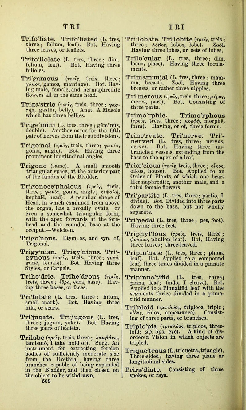 Trifoliate. Trifo'liated (E. tres, three; folium, leaf), Bot. Having three leaves, or leaflets. Trifo'liolate (L. tres, three; dim. folium, leaf). Bot. Having three folioles. Tri'gamous (rpeis, treis, three; yanos, gamos, marriage). Bot. Hav- ing male, female, and hermaphrodite flowers all in the same head. Triga'stric (rpeis, treis, three; yaa- Typ, gaster, belly). Anat. A Muscle which has three bellies. Trige'mini (L. tres, three ; geminus, double). Another name for the fifth pair of nerves from their subdivisions. Trigo'nal (TpeZs, treis, three; ywvia, gonia, angle). Bot. Having three prominent longitudinal angles. Trigone (same). A small smooth triangular space, at the anterior part of the fundus of the Bladder. Trigonoce'phalous (Tpels, treis, three; yiavia, gonia, angle; /fe^aAj), kephale, head). A peculiar shape of Head, in which examined from above the organ, has a broadly ovate, or even a somewhat triangular form, with the apex forwards at the fore- head and the rounded base at the occiput.—Welcken. Trigo'nous. Etym. as, and syn. of. Trigonal. Trigy'nian. Trigy'nious. Tri'- gynous (rpeis, treis, three; ywij, gune, female). Bot. Having three Styles, or Carpels. Trihe'dric. Trihe'drous (rpeis, treis, three; e'Spa, edra, base). Hav- ing three bases, or faces. Tri'hilate (L. tres, three; hilum, small mark). Bot. Having three hila, or scars. Tri'jugate. Tri'jugous (L. tres, three; jugum, yoke). Bot. Having three pairs of leaflets. Trilabe (rpeis, treis, three ; A.ap./3di/<o, lambano, I take hold of). Surg. An instrument for extracting foreign bodies of sufficiently moderate size from the Urethra, having three branches capable of being expanded in the Bladder, and then closed on the object to be withdrawn. 508 Trilobate. Trilobite (rpeis, treis; three ; Ao/3os, lobos, lobe). Zool. Having three lobes, or sets of lobes. Trilo'cular (L. tres, three; dim. locus, place). Having three locula- ments. Trimam'mial (L. tres, three ; mam- ma, breast). Zool. Having three breasts, or rather three nipples. Tri'merous (rpeis,treis, three;p.e'pos, meros, part). Bot. Consisting of three parts. Trimo'rphic. Trimo'rpbous (rpeis, treis, three; p.op<f>rj, morphe, form). Having, or of, three forms. Trine'rvate. Tri'nerve. Tri'- nerved (L. tres, three; nervus, nerve). Bot. Having three un- branched vessels, extending from the base to the apex of a leaf. Trioe'cious (rpeis, treis, three; oIkos, oikos, house). Bot. Applied to an Order of Plants, of which one bears Hermaphrodite, another male, and a third female flowers. Tripartite (L. tres, three; partio, I divide). Bot. Divided into three parts down to the base, but not wholly separate. Tripedal (L. tres, three; pes, foot). Having three feet. Triphyilous (rpeis, treis, three; </)vAAoi/, phullon, leaf). Bot. Having three leaves; three-leaved. Tripin'nate (L. tres, three; pinna, leaf). Bot. Applied to a compound leaf, three times divided in a pinnate manner. Tripinna'tifid (L. tres, three; pinna, leaf; findo, I cleave). Bot. Applied to a Pinnatifid leaf with the segments thrice divided in a pinna- tifid manner. Triploid (rpt7rAdos, triploos, triple; elSos, eidos, appearance). Consist- ing of three parts, or branches. Triplo'pia (rpiirAdos, triploos, three- fold; cjif/, ops, eye). A kind of dis- ordered Vision in which objects are tripled. Triquetrous (L.triquetra,triangle). Three-sided; having three plane or longitudinal sides. Trira'diate. Consisting of three spokes, or rays.