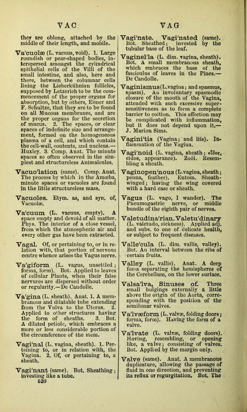 VAC VAG they are oblong, attached by the middle of their length, and mobile. Va'cuolse (L. vacuus, void). 1. Large roundish or pear-shaped bodies, in- terspersed amongst the cylindrical epithelial cells of the Villi of the small intestine, and also, here and there, between the columnar cells lining the Lieberkiihnian follicles, supposed by Letzerich to be the com- mencement of the proper organs for absorption, but by others, Eimer and F. Schultze, that they are to be found on all Mucous membranes, and are the proper organs for the secretion of mucus. 2. The spaces, or clear spaces of indefinite size and arrange- ment, formed on the homogeneous plasma of a cell, and which contain the cell-wall, contents, and nucleus.— Huxley. 3. Comp. Anat. The minute spaces so often observed in the sim- plest and structureless Animalcules. Vacuo'lation (same). Comp. Anat. The process by which in the Amoeba, minute spaces or vacuoles are found in the little structureless mass. Vacuoles. Etym. as, and syn. of, Vacuolae. Va'cuum (L. vacuus, empty). A space empty and devoid of all matter. Phys. The interior of a close vessel, from which the atmospheric air and every other gas have been extracted. Vagal. Of, or pertaining to, or in re- lation with, that portion of nervous centre whence arises the Vagus nerve. Va'giform (L. vagus, unsettled; forma, form). Bot. Applied to leaves of cellular Plants, when their false nervures are dispersed without order or regularity.—De Candolle. Va'gina (L. sheath). Anat. 1. A mem- branous and dilatable tube extending from the Vulva to the Uterus. 2. Applied to other structures having the form of sheaths. 3. Bot. A dilated petiole, which embraces a more or less considerable portion of the circumference of the stem. Vagi'nal (L. vagina, sheath). 1. Per- taining to, or in relation with, the Vagina. 2. Of, or pertaining to, a sheath. Vagi'nant (same). Bot. Sheathing; investing like a tube. 620 Vagi'nate. Vagi'nated (same). Bot. Sheathed; invested by the tubular base of the leaf. Vaginel'la (L. dim. vagina, sheath). Bot. A small membranous sheath, which embraces the base of the fasciculus of leaves in the Pines.— De Candolle. Vaginismus(L.vagina; and spasmus, spasm). An involuntary spasmodic closure of the mouth of the Vagina, attended with such excessive super- sensitiveness as to form a complete barrier to coition. This affection may be complicated with inflammation, but it does not depend upon it.— J. Marion Sims. Vagini'tis (Vagina; and itis). In- flammation of the Vagina. Vagi'noid (L. vagina, sheath; elSov, eidos, appearance). Zool. Besem- bling a sheath. Vaginopen'nous (L. vagina, sheath; penna, feather). Entom. Sheath- winged; having the wing covered with a hard case or sheath. Vagus (L. vago, I wander). The Pneumogastric nerve, or middle bundle of the eighth pair of nerves. V aletudina'rian. V aletu'dinary (L. valetudo, sickness). Applied adj. and subs, to one of delicate health, or subject to frequent diseases. Valle'cula (L. dim. vallis, valley). Bot. An interval between the ribs of certain fruits. Valley (L. vallis). Anat. A deep fossa separating the hemispheres of the Cerebellum, on the lower surface. Valsalva, Sinuses of. Three small bulgings externally a little above the origin of the Aorta, corre- sponding with the position of the semilunar valves. Va'lvaeform (L. valvae, folding doors; forma, form). Having the form of a valve. Va'lvate (L. valvae, folding doors). Having, resembling, or opening like, a valve; consisting of valves. Bot. Applied by the margin only. Valve (same). Anat. A membranous duplicature, allowing the passage of fluid in one direction, and preventing its reflux or regurgitation. Bot. The