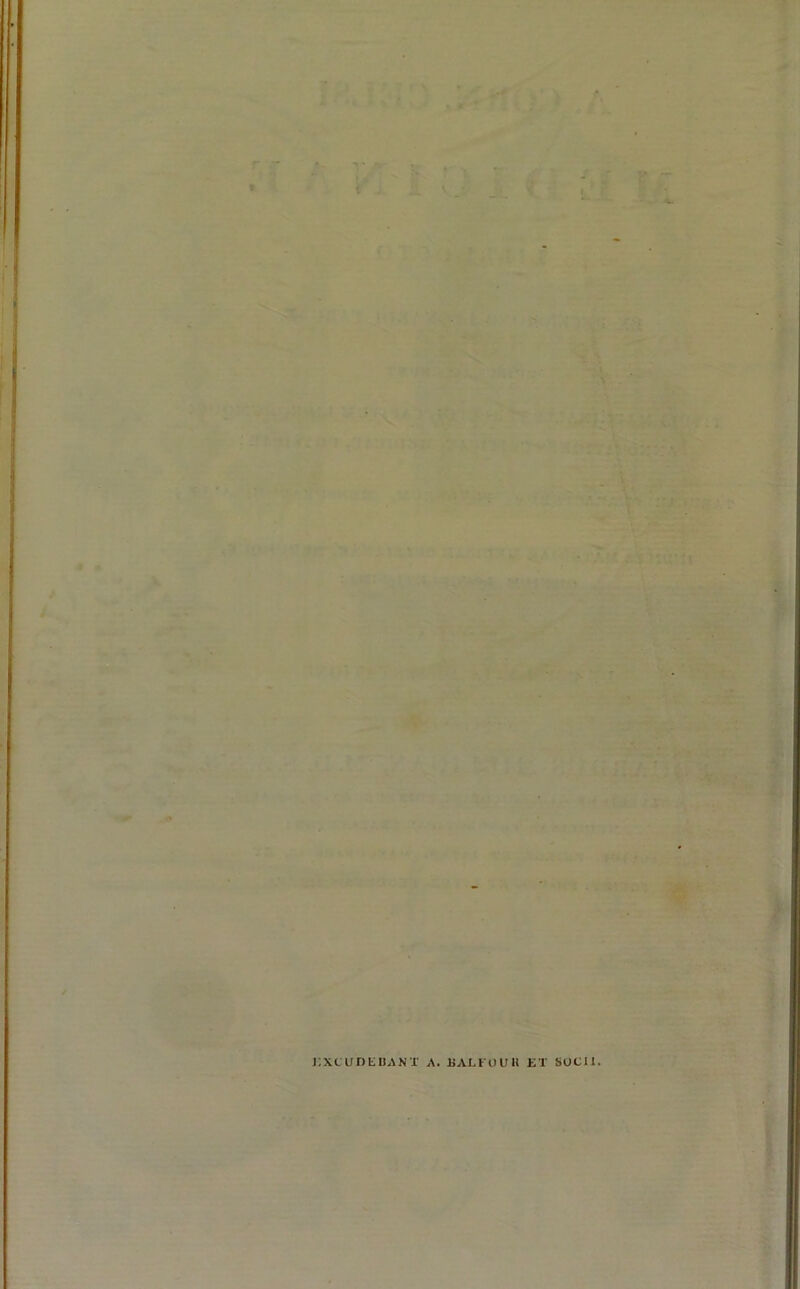 EXCUDEBANT A. JBALFOUH ET SOCII