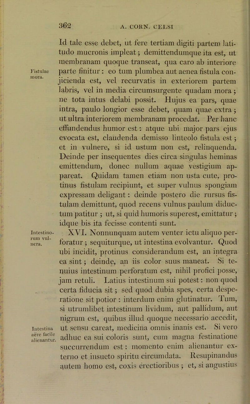 Fistulae mora. Intestino- rum vul- nera. Intestina aere facile alienantur. Id tale esse debet, ut fere tertiam digiti partem lati- tudo mucronis impleat; demittendumque ita est, ut membranam quoque transeat, qua caro ab interiore parte finitur: eo tum plumbea aut aenea fistula con- jicienda est, vel recurvatis in exteriorem partem labris, vel in media circumsurgente quadam mora ; ne tota intus delabi possit. Hujus ea pars, quae intra, paulo longior esse debet, quam quae extra; ut ultra interiorem membranam procedat. Per hanc effundendus humor est: atque ubi major pars ejus evocata est, claudenda demisso linteolo fistula est; et in vulnere, si id ustum non est, relinquenda. Deinde per insequentes dies circa singulas heminas emittendum, donec nullum aquae vestigium ap- pareat. Quidam tamen etiam non usta cute, pro- tinus fistulam recipiunt, et super vulnus spongiam expressam deligant: deinde postero die rursus fis- tulam demittunt, quod recens vulnus paulum diduc- tum patitur ; ut, si quid humoris superest, emittatur ; idque bis ita fecisse contenti sunt. XVI. Nonnunquam autem venter ictu aliquo per- foratur ; sequiturque, ut intestina evolvantur. Quod ubi incidit, protinus considerandum est, an integra ea sint; deinde, an iis color suus maneat. Si te- nuius intestinum perforatum est, nihil profici posse, jam retuli. Latius intestinum sui potest: non quod certa fiducia sit; sed quod dubia spes, certa despe- ratione sit potior : interdum enim glutinatur. Tum, si utrumlibet intestinum lividum, aut pallidum, aut nigrum est, quibus illud quoque necessario accedit, ut sensu careat, medicina omnis inanis est. Si vero adhuc ea sui coloris sunt, cum magna festinatione succurrendum est: momento enim alienantur ex- terno et insueto spiritu circumdata. Resupinandus autem homo est, coxis erectioribus ; et, si angustius