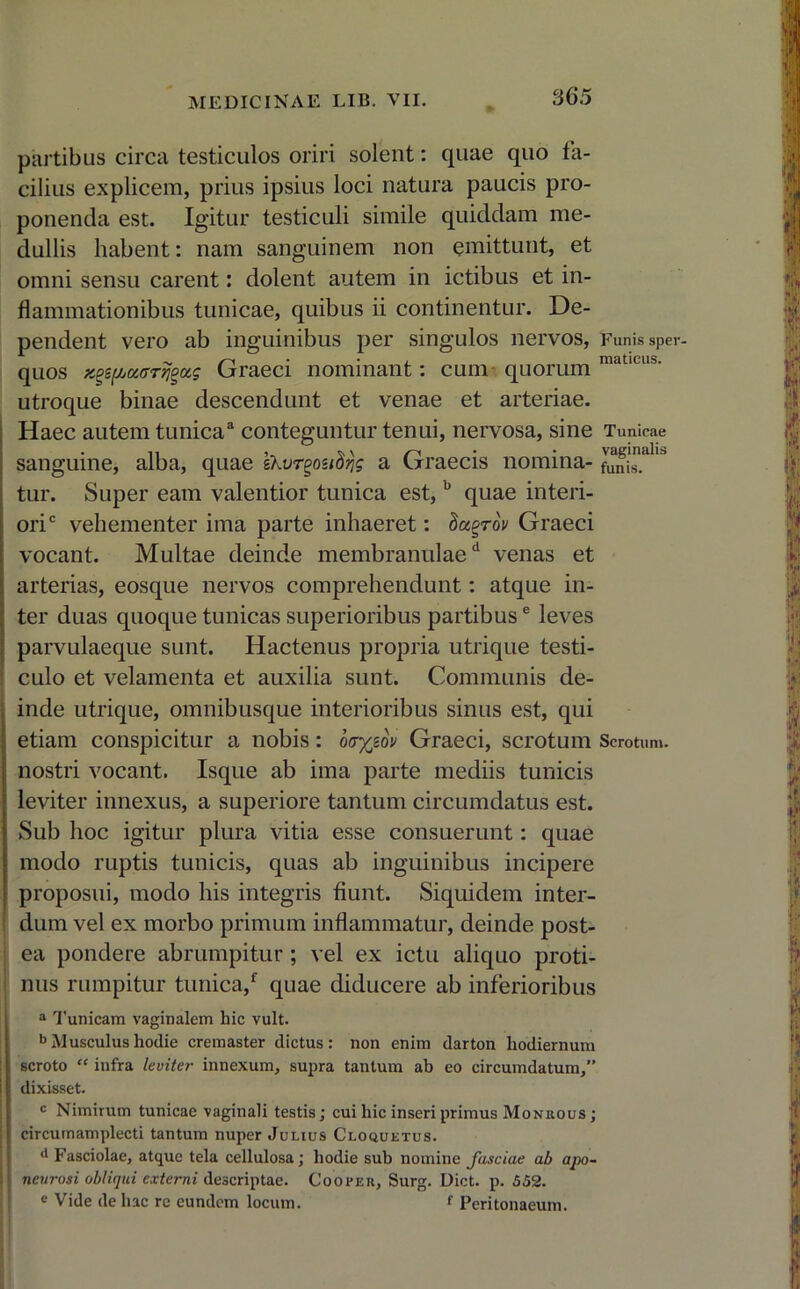 partibus circa testiculos oriri solent: quae quo fa- cilius explicem, prius ipsius loci natura paucis pro- ponenda est. Igitur testiculi simile quiddam me- dullis habent: nam sanguinem non emittunt, et omni sensu carent: dolent autem in ictibus et in- flammationibus tunicae, quibus ii continentur. De- pendent vero ab inguinibus per singulos nervos, Funis sper- quos xgsfJiocffT^gotg Graeci nominant: cum quorum maticus' utroque binae descendunt et venae et arteriae. Haec autem tunica3 conteguntur tenui, nervosa, sine Tunicae sanguine, alba, quae tkvrgosidrjg a Graecis nomina- tur. Super eam valentior tunica est,b quae interi- ori c vehementer ima parte inhaeret: dagroV Graeci vocant. Multae deinde membranulaed venas et arterias, eosque nervos comprehendunt: atque in- ter duas quoque tunicas superioribus partibuse leves parvulaeque sunt. Hactenus propria utrique testi- culo et velamenta et auxilia sunt. Communis de- inde utrique, omnibusque interioribus sinus est, qui etiam conspicitur a nobis: oo%gdv Graeci, scrotum Scrotum, nostri vocant. Isque ab ima parte mediis tunicis leviter innexus, a superiore tantum circumdatus est. Sub hoc igitur plura vitia esse consuerunt: quae modo ruptis tunicis, quas ab inguinibus incipere proposui, modo his integris fiunt. Siquidem inter- dum vel ex morbo primum inflammatur, deinde post- ea pondere abrumpitur; vel ex ictu aliquo proti- nus rumpitur tunica/ quae diducere ab inferioribus a Tunicam vaginalem hic vult. b Musculus hodie cremaster dictus: non enim darton hodiernum scroto “ infra leviter innexum, supra tantum ab eo circumdatum,” dixisset. c Nimirum tunicae vaginali testis; cui hic inseri primus Monrous ; circumamplecti tantum nuper Julius Cloquetus. ll Fasciolae, atque tela cellulosa; hodie sub nomine fasciae ab apo- neurosi obliqui externi descriptae. C00 per, Surg. Dict. p. 552. e Vide de hac re eundem locum. f Peritonaeum.