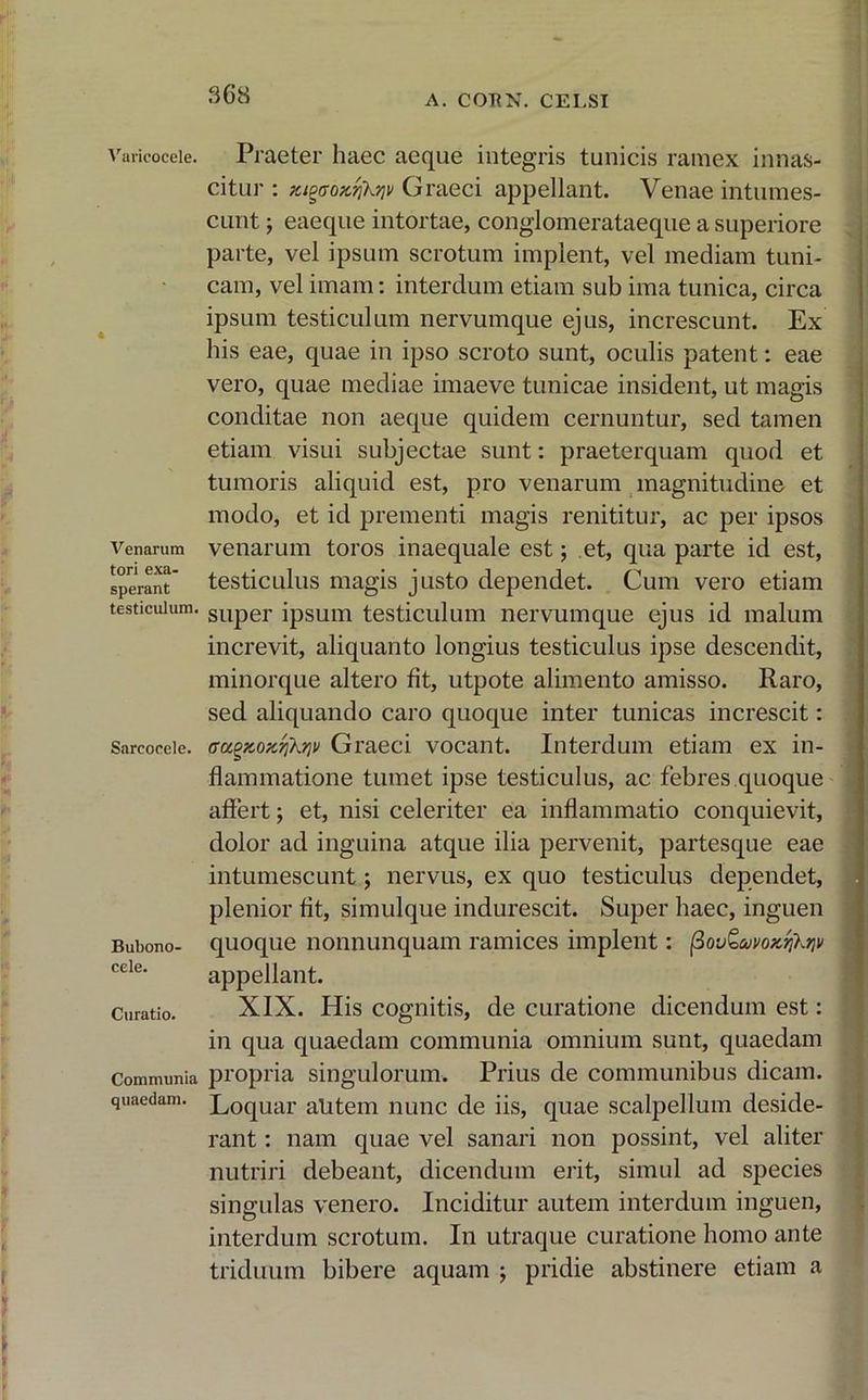 Varicocele. Venarum tori exa- sperant testiculum. Sarcoeele. Bubono- cele. Curatio. Communia quaedam. Praeter haec aeque integris tunicis ramex innas- citur : Mgffoxrikqv Graeci appellant. Venae intumes- cunt ; eaeque intortae, conglomerataeque a superiore parte, vel ipsum scrotum implent, vel mediam tuni- cam, vel imam: interdum etiam sub ima tunica, circa ipsum testiculum nervumque ejus, increscunt. Ex his eae, quae in ipso scroto sunt, oculis patent: eae vero, quae mediae imaeve tunicae insident, ut magis conditae non aeque quidem cernuntur, sed tamen etiam visui subjectae sunt: praeterquam quod et tumoris aliquid est, pro venarum magnitudine et modo, et id prementi magis renititur, ac per ipsos venarum toros inaequale est; et, qua parte id est, testiculus magis justo dependet. Cum vero etiam super ipsum testiculum nervumque ejus id malum increvit, aliquanto longius testiculus ipse descendit, minorque altero fit, utpote alimento amisso. Raro, sed aliquando caro quoque inter tunicas increscit: na^y,oyJiikrjv Graeci vocant. Interdum etiam ex in- flammatione tumet ipse testiculus, ac febres quoque affert; et, nisi celeriter ea inflammatio conquievit, dolor ad inguina atque ilia pervenit, partesque eae intumescunt; nervus, ex quo testiculus dependet, plenior fit, simulque indurescit. Super haec, inguen quoque nonnunquam ramices implent: j3ov&avoxf]\riv appellant. XIX. His cognitis, de curatione dicendum est: in qua quaedam communia omnium sunt, quaedam propria singulorum. Prius de communibus dicam. Loquar alitem nunc de iis, quae scalpellum deside- rant : nam quae vel sanari non possint, vel aliter nutriri debeant, dicendum erit, simul ad species singulas venero. Inciditur autem interdum inguen, interdum scrotum. In utraque curatione homo ante triduum bibere aquam ; pridie abstinere etiam a