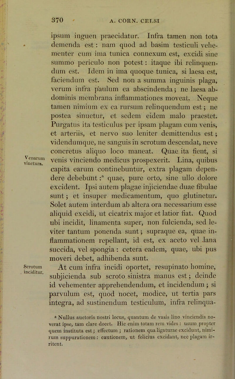 Venarum vinctura. Scrotum inciditur. ipsum inguen praecidatur. Infra tamen non tota demenda est: nam quod ad basim testiculi vehe- menter cum ima tunica connexum est, excidi sine summo periculo non potest: itaque ibi relinquen- dum est. Idem in ima quoque tunica, si laesa est, faciendum est. Sed non a summa inguinis plaga, verum infra paulum ea abscindenda; ne laesa ab- dominis membrana inflammationes moveat. Neque tamen nimium ex ea rursum relinquendum est; ne postea sinuetur, et sedem eidem malo praestet. Purgatus ita testiculus per ipsam plagam cum venis, et arteriis, et nervo suo leniter demittendus est; videndumque, ne sanguis in scrotum descendat, neve concretus aliquo loco maneat. Quae ita fient, si venis vinciendo medicus prospexerit. Lina, quibus capita earum continebuntur, extra plagam depen- dere debebunt :n quae, pure orto, sine ullo dolore excident. Ipsi autem plagae injiciendae duae fibulae sunt; et insuper medicamentum, quo glutinetur. Solet autem interdum ab altera ora necessarium esse aliquid excidi, ut cicatrix major et latior fiat. Quod ubi incidit, linamenta super, non fulcienda, sed le- viter tantum ponenda sunt; supraque ea, quae in- flammationem repellant, id est, ex aceto vel .lana succida, vel spongia : cetera eadem, quae, ubi pus moveri debet, adhibenda sunt. At cum infra incidi oportet, resupinato homine, subjicienda sub scroto sinistra manus est; deinde id vehementer apprehendendum, et incidendum ; si parvulum est, quod nocet, modice, ut tertia pars integra, ad sustinendum testiculum, infra relinqua- a Nullus auctoris nostri locus, quantum de vasis lino vinciendis no- verat ipse, tam clare docet. Hic enim totam rem vides : usum propter quem instituta est; effectum ; rationem qua ligaturae excidunt, nimi- rum suppurationem : cautionem, ut felicius excidant, nec plagam ir- ritent.