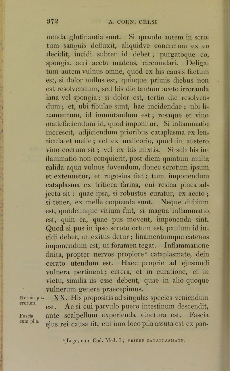 nenda glutinantia sunt. Si quando autem in scro- tum sanguis defluxit, aliquidve concretum ex eo decidit, incidi subter id debet; purgatoque eo, spongia, acri aceto madens, circumdari. Deliga- tum autem vulnus omne, quod ex his causis factum est, si dolor nullus est, quinque primis diebus non est resolvendum, sed bis die tantum aceto irroranda lana vel spongia: si dolor est, tertio die resolven- dum ; et, ubi fibulae sunt, hae incidendae ; ubi li- namentum, id immutandum est; rosaque et vino madefaciendum id, quod imponitur. Si inflammatio increscit, adjiciendum prioribus cataplasma ex len- ticula et meile; vel ex malicorio, quod in austero vino coctum sit; vel ex his mixtis. Si sub his in- flammatio non conquierit, post diem quintum multa calida aqua vulnus fovendum, donec scrotum ipsum et extenuetur, et rugosius fiat: tum imponendum cataplasma ex triticea farina, cui resina pinea ad- jecta sit: quae ipsa, si robustus curatur, ex aceto ; si tener, ex meile coquenda sunt. Neque dubium est, quodcunque vitium fuit, si magna inflammatio est, quin ea, quae pus movent, imponenda sint. Quod si pus in ipso scroto ortum est, paulum id in- cidi debet, ut exitus detur ; linamentumque eatelius imponendum est, ut foramen tegat. Inflammatione finita, propter nervos propiore3 cataplasmate, dein cerato utendum est. Haec proprie ad ejusmodi vulnera pertinent: cetera, et in curatione, et in victu, similia iis esse debent, quae in alio quoque vulnerum genere praecepimus. XX. His propositis ad singulas species veniendum est. Ac si cui parvulo puero intestinum descendit, ante scalpellum experienda vinctura est. Fascia ejus rei causa fit, cui imo loco pila assuta est expan- Lege, cura Cod. Med. I; priore cataplasmate.