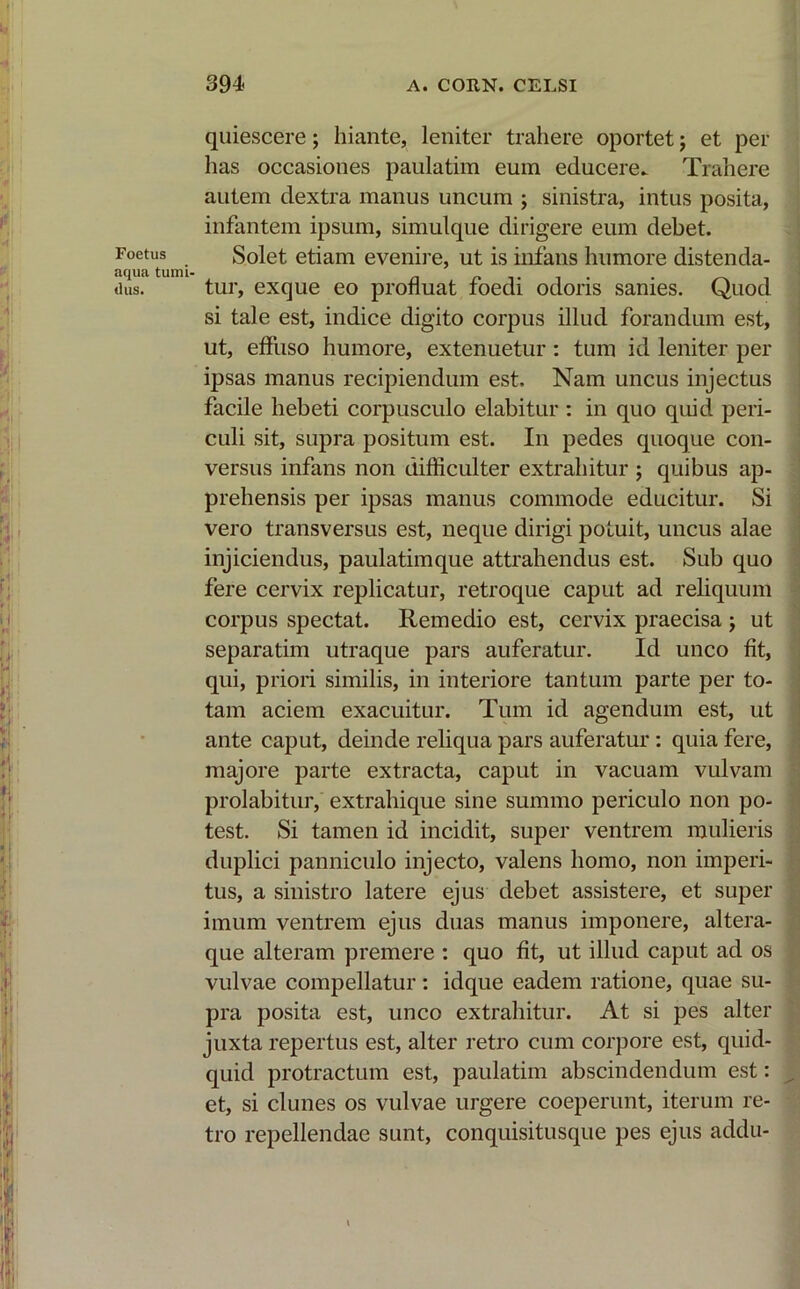 Foetus aqua tumi- dus. quiescere; hiante, leniter trahere oportet; et per has occasiones paulatim eum educere. Trahere autem dextra manus uncum ; sinistra, intus posita, infantem ipsum, simulque dirigere eum debet. Solet etiam evenire, ut is infans humore distenda- tur, exque eo profluat foedi odoris sanies. Quod si tale est, indice digito corpus illud forandum est, ut, effuso humore, extenuetur: tum id leniter per ipsas manus recipiendum est. Nam uncus injectus facile hebeti corpusculo elabitur : in quo quid peri- culi sit, supra positum est. In pedes quoque con- versus infans non difficulter extrahitur ; quibus ap- prehensis per ipsas manus commode educitur. Si vero transversus est, neque dirigi potuit, uncus alae injiciendus, paulatimque attrahendus est. Sub quo fere cervix replicatur, retroque caput ad reliquum corpus spectat. Remedio est, cervix praecisa ; ut separatim utraque pars auferatur. Id unco fit, qui, priori similis, in interiore tantum parte per to- tam aciem exacuitur. Tum id agendum est, ut ante caput, deinde reliqua pars auferatur: quia fere, majore parte extracta, caput in vacuam vulvam prolabitur, extrahique sine summo periculo non po- test. Si tamen id incidit, super ventrem mulieris duplici panniculo injecto, valens homo, non imperi- tus, a sinistro latere ejus debet assistere, et super imum ventrem ejus duas manus imponere, altera- que alteram premere : quo fit, ut illud caput ad os vulvae compellatur: idque eadem ratione, quae su- pra posita est, unco extrahitur. At si pes alter juxta repertus est, alter retro cum corpore est, quid- quid protractum est, paulatim abscindendum est: et, si clunes os vulvae urgere coeperunt, iterum re- tro repellendae sunt, conquisitusque pes ejus addu-