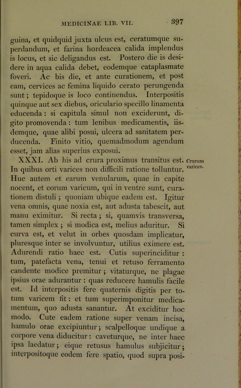 guina, et quidquid juxta ulcus est, ceratumque su- perdandum, et farina hordeacea calida implendus is locus, et sic deligandus est. Postero die is desi- dere in aqua calida debet, eodemque cataplasmate foveri. Ac bis die, et ante curationem, et post eam, cervices ac femina liquido cerato perungenda sunt; tepidoque is loco continendus. Interpositis quinque aut sex diebus, oriculario specillo linamenta educenda: si capitula simul non exciderunt, di- gito promovenda: tum lenibus medicamentis, iis- demque, quae alibi posui, ulcera ad sanitatem per- ducenda. Finito vitio, quemadmodum agendum esset, jam alias superius exposui. XXXI. Ab his ad crura proximus transitus est. In quibus orti varices non difficili ratione tolluntur. Huc autem et earum venularum, quae in capite nocent, et eorum varicum, qui in ventre sunt, cura- tionem distuli; quoniam ubique eadem est. Igitur vena omnis, quae noxia est, aut adusta tabescit, aut manu eximitur. Si recta; si, quamvis transversa, tamen simplex ; si modica est, melius aduritur. Si curva est, et velut in orbes quosdam implicatur, pluresque inter se involvuntur, utilius eximere est. Adurendi ratio haec est. Cutis superinciditur : tum, patefacta vena, tenui et retuso ferramento candente modice premitur; vitaturque, ne plagae ipsius orae adurantur : quas reducere hamulis facile est. Id interpositis fere quaternis digitis per to- tum varicem fit: et tum superimponitur medica- mentum, quo adusta sanantur. At exciditur hoc modo. Cute eadem ratione super venam incisa, hamulo orae excipiuntur; scalpelloque undique a corpore vena diducitur: caveturque, ne inter haec ipsa laedatur; eique retusus hamulus subjicitur; interpositoque eodem fere spatio, quod supra posi- Crurum varices.