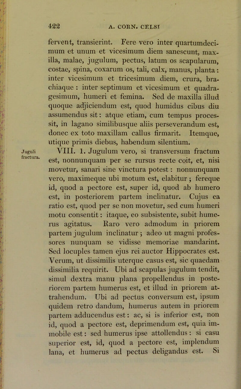 Juguli fractura. fervent, transierint. Fere vero inter quartumdeci- mum et unum et vicesimum diem sanescunt, max- illa, malae, jugulum, pectus, latum os scapularum, costae, spina, coxarum os, tali, calx, manus, planta: inter vicesimum et tricesimum diem, crura, bra- chiaque : inter septimum et vicesimum et quadra- gesimum, humeri et femina. Sed de maxilla illud quoque adjiciendum est, quod humidus cibus diu assumendus sit: atque etiam, cum tempus proces- sit, in lagano similibusque aliis perseverandum est, donec ex toto maxillam callus firmarit. Itemque, utique primis diebus, habendum silentium. VIII. 1. Jugulum vero, si transversum fractum est, nonnunquam per se rursus recte coit, et, nisi movetur, sanari sine vinctura potest: nonnunquam vero, maximeque ubi motum est, elabitur; fereque id, quod a pectore est, super id, quod ab humero est, in posteriorem partem inclinatur. Cujus ea ratio est, quod per se non movetur, sed cum humeri motu consentit: itaque, eo subsistente, subit hume- rus agitatus. Raro vero admodum in priorem partem jugulum inclinatur ; adeo ut magni profes- sores nunquam se vidisse memoriae mandarint. Sed locuples tamen ejus rei auctor Hippocrates est. Verum, ut dissimilis uterque casus est, sic quaedam dissimilia requirit. Ubi ad scapulas jugulum tendit, simul dextra manu plana propellendus in poste- riorem partem humerus est, et illud in priorem at- trahendum. Ubi ad pectus conversum est, ipsum quidem retro dandum, humerus autem in priorem partem adducendus est: ac, si is inferior est, non id, quod a pectore est, deprimendum est, quia im- mobile est: sed humerus ipse attollendus : si casu superior est, id, quod a pectore est, implendum lana, et humerus ad pectus deligandus est. Si