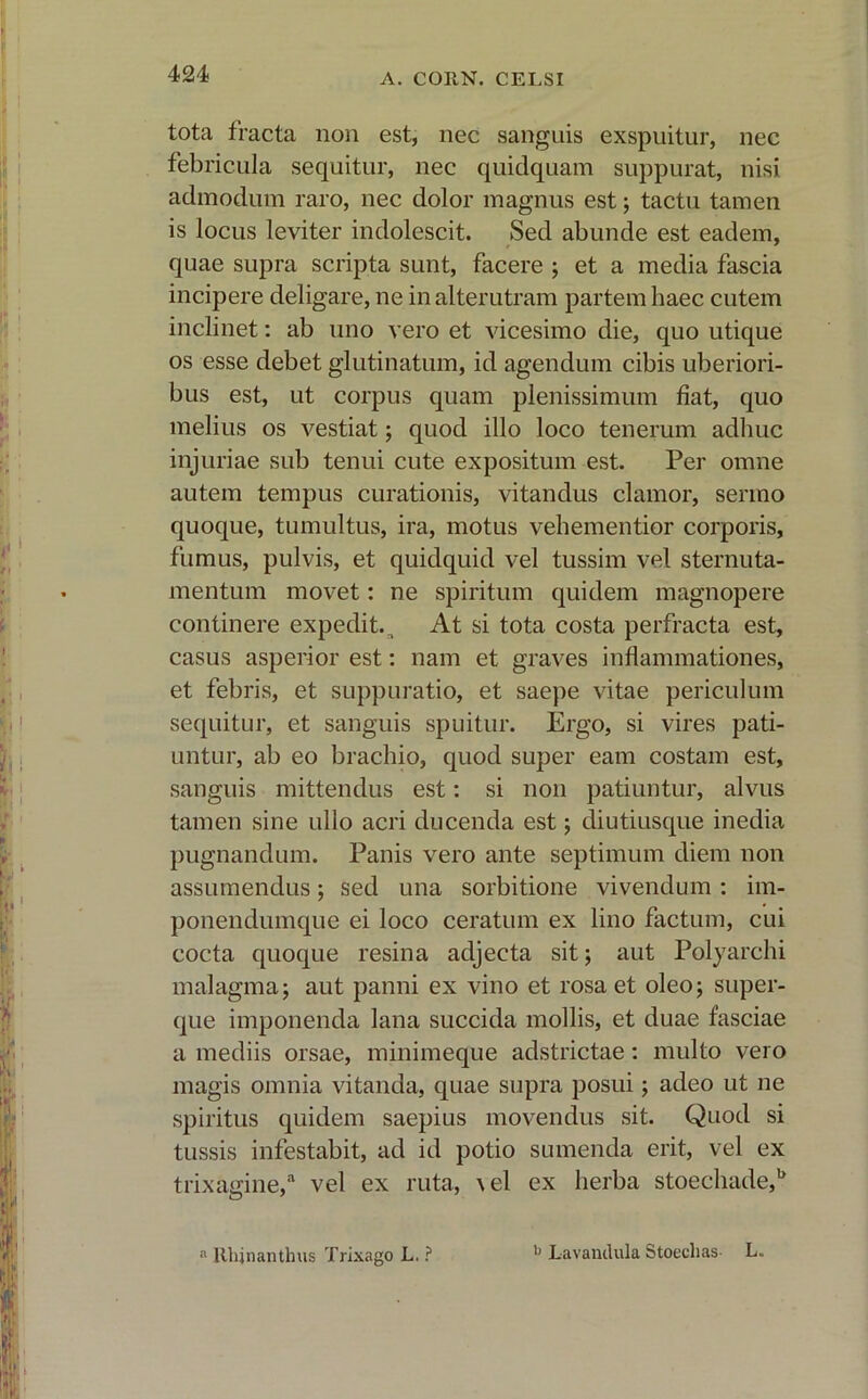 tota fracta non est, nec sanguis exspuitur, nec febricula sequitur, nec quidquam suppurat, nisi admodum raro, nec dolor magnus est; tactu tamen is locus leviter indolescit. Sed abunde est eadem, quae supra scripta sunt, facere ; et a media fascia incipere deligare, ne in alterutram partem haec cutem inclinet: ab uno vero et vicesimo die, quo utique os esse debet glutinatum, id agendum cibis uberiori- bus est, ut corpus quam plenissimum fiat, quo melius os vestiat; quod illo loco tenerum adhuc injuriae sub tenui cute expositum est. Per omne autem tempus curationis, vitandus clamor, sermo quoque, tumultus, ira, motus vehementior corporis, fumus, pulvis, et quidquid vel tussim vel sternuta- mentum movet: ne spiritum quidem magnopere continere expedit. ,t At si tota costa perfracta est, casus asperior est: nam et graves inflammationes, et febris, et suppuratio, et saepe vitae periculum sequitur, et sanguis spuitur. Ergo, si vires pati- untur, ab eo brachio, quod super eam costam est, sanguis mittendus est: si non patiuntur, alvus tamen sine ullo acri ducenda est; diutiusque inedia pugnandum. Panis vero ante septimum diem non assumendus; sed una sorbitione vivendum : im- ponendumquc ei loco ceratum ex lino factum, cui cocta quoque resina adjecta sit; aut Polyarchi malagma; aut panni ex vino et rosa et oleo; super- que imponenda lana succida mollis, et duae fasciae a mediis orsae, minimeque adstrictae: multo vero magis omnia vitanda, quae supra posui; adeo ut ne spiritus quidem saepius movendus sit. Quod si tussis infestabit, ad id potio sumenda erit, vel ex trixagine,a vel ex ruta, \el ex herba stoechade,b a Rhjnanthus Trixago L. ? b Lavandula Stoechas L.