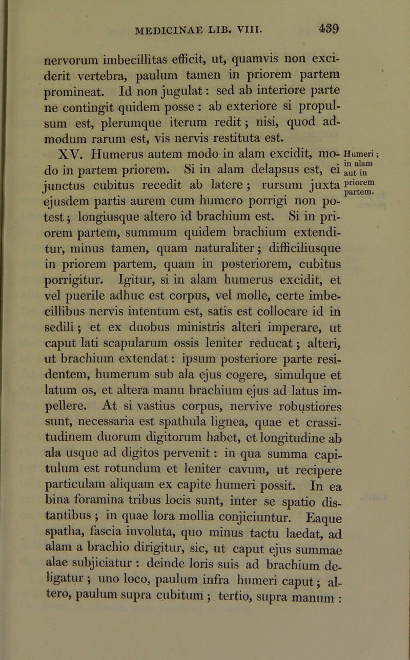 nervorum imbecillitas efficit, ut, quamvis non exci- derit vertebra, paulum tamen in priorem partem promineat. Id non jugulat: sed ab interiore parte ne contingit quidem posse : ab exteriore si propul- sum est, plerumque iterum redit; nisi, quod ad- modum rarum est, vis nervis restituta est. XV. Humerus autem modo in alam excidit, mo- Humeri; do in partem priorem. Si in alam delapsus est, ei autln” junctus cubitus recedit ab latere ; rursum juxta ejusdem partis aurem cum humero porrigi non po- test ; longiusque altero id brachium est. Si in pri- orem partem, summum quidem brachium extendi- tur, minus tamen, quam naturaliter; difficiliusque in priorem partem, quam in posteriorem, cubitus porrigitur. Igitur, si in alam humerus excidit, et vel puerile adhuc est corpus, vel molle, certe imbe- cillibus nervis intentum est, satis est collocare id in sedili; et ex duobus ministris alteri imperare, ut caput lati scapularum ossis leniter reducat j alteri, ut brachium extendat: ipsum posteriore parte resi- dentem, humerum sub ala ejus cogere, simulque et latum os, et altera manu brachium ejus ad latus im- pellere. At si vastius corpus, nervive robustiores sunt, necessaria est spathula lignea, quae et crassi- tudinem duorum digitorum habet, et longitudine ab ala usque ad digitos pervenit: in qua summa capi- tulum est rotundum et leniter cavum, ut recipere particulam aliquam ex capite humeri possit. In ea bina foramina tribus locis sunt, inter se spatio dis- tantibus ; in quae lora mollia conjiciuntur. Eaque spatha, fascia involuta, quo minus tactu laedat, ad alam a brachio dirigitur, sic, ut caput ejus summae alae subjiciatur : deinde loris suis ad brachium de- ligatur ; uno loco, paulum infra humeri caput; al- tero, paulum supra cubitum ; tertio, supra manum :