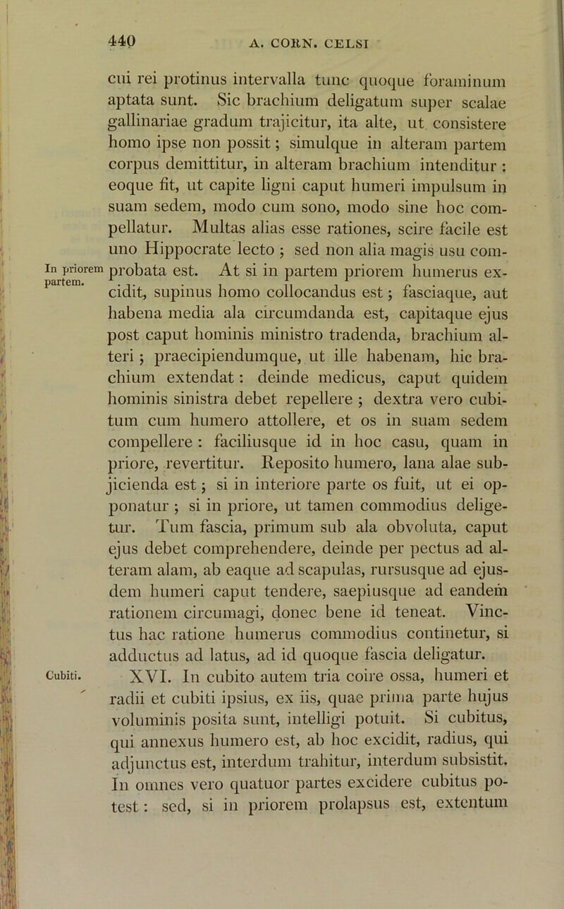 cui rei protinus intervalla tunc quoque foraminum aptata sunt. Sic brachium deligatum super scalae gallinariae gradum trajicitur, ita alte, ut consistere homo ipse non possit; simulque in alteram partem corpus demittitur, in alteram brachium intenditur : eoque fit, ut capite ligni caput humeri impulsum in suam sedem, modo cum sono, modo sine hoc com- pellatur. Multas alias esse rationes, scire facile est uno Hippocrate lecto ; sed non alia magis usu com- in priorem probata est. At si in partem priorem humerus ex- cidit, supinus homo collocandus est; fasciaque, aut habena media ala circumdanda est, capitaque ejus post caput hominis ministro tradenda, brachium al- teri ; praecipiendumque, ut ille habenam, hic bra- chium extendat: deinde medicus, caput quidem hominis sinistra debet repellere ; dextra vero cubi- tum cum humero attollere, et os in suam sedem compellere : faciliusque id in hoc casu, quam in priore, revertitur. Reposito humero, lana alae sub- jicienda est; si in interiore parte os fuit, ut ei op- ponatur ; si in priore, ut tamen commodius delige- tur. Tum fascia, primum sub ala obvoluta, caput ejus debet comprehendere, deinde per pectus ad al- teram alam, ab eaque ad scapulas, rursusque ad ejus- dem humeri caput tendere, saepiusque ad eandem rationem circumagi, donec bene id teneat. Vinc- tus hac ratione humerus commodius continetur, si adductus ad latus, ad id quoque fascia deligatur. Cubiti. XVI. In cubito autem tria coire ossa, humeri et radii et cubiti ipsius, ex iis, quae prima parte hujus voluminis posita sunt, intelligi potuit. Si cubitus, qui annexus humero est, ab hoc excidit, radius, qui adjunctus est, interdum trahitur, interdum subsistit. In omnes vero quatuor partes excidere cubitus po- test : sed, si in priorem prolapsus est, extentum
