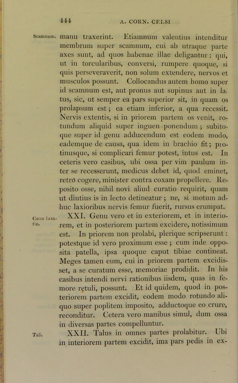 Scamnum, manu traxerint. Etiamnum valentius intenditur membrum super scamnum, cui ab utraque parte axes sunt, ad quos habenae illae deligantur : qui, ut in torcularibus, conversi, rumpere quoque, si quis perseveraverit, non solum extendere, nervos et musculos possunt. Collocandus autem homo super id scamnum est, aut pronus aut supinus aut in la- tus, sic, ut semper ea pars superior sit, in quam os prolapsum est; ea etiam inferior, a qua recessit. Nervis extentis, si in priorem partem os venit, ro- tundum aliquid super inguen ponendum ; subito- que super id genu adducendum est eodem modo, eademque de causa, qua idem in brachio fit; pro- tinusque, si complicari femur potest, intus est. In ceteris vero casibus, ubi ossa per vim paulum in- ter se recesserunt, medicus debet id, quod eminet, retro cogere, minister contra coxam propellere. Re- posito osse, nihil novi aliud curatio requirit, quam ut diutius is in lecto detineatur ; ne, si motum ad- huc laxioribus nervis femur fuerit, rursus erumpat. Genu luxa- XXI. Genu vero et in exteriorem, et in interio- tio- rem, et in posteriorem partem excidere, notissimum est. In priorem non prolabi, plerique scripserunt: potestque id vero proximum esse ; cum inde oppo- sita patella, ipsa quoque caput tibiae contineat. Meges tamen eum, cui in priorem partem excidis- set, a se curatum esse, memoriae prodidit. In his casibus intendi nervi rationibus iisdem, quas in fe- more retuli, possunt. Et id quidem, quod in pos- teriorem partem excidit, eodem modo rotundo ali- quo super poplitem imposito, adductoque eo crure, reconditur. Cetera vero manibus simul, dum ossa in diversas partes compelluntur. Tali. XXII. Talus in omnes partes prolabitur. Ubi in interiorem partem excidit, ima pars pedis in ex-