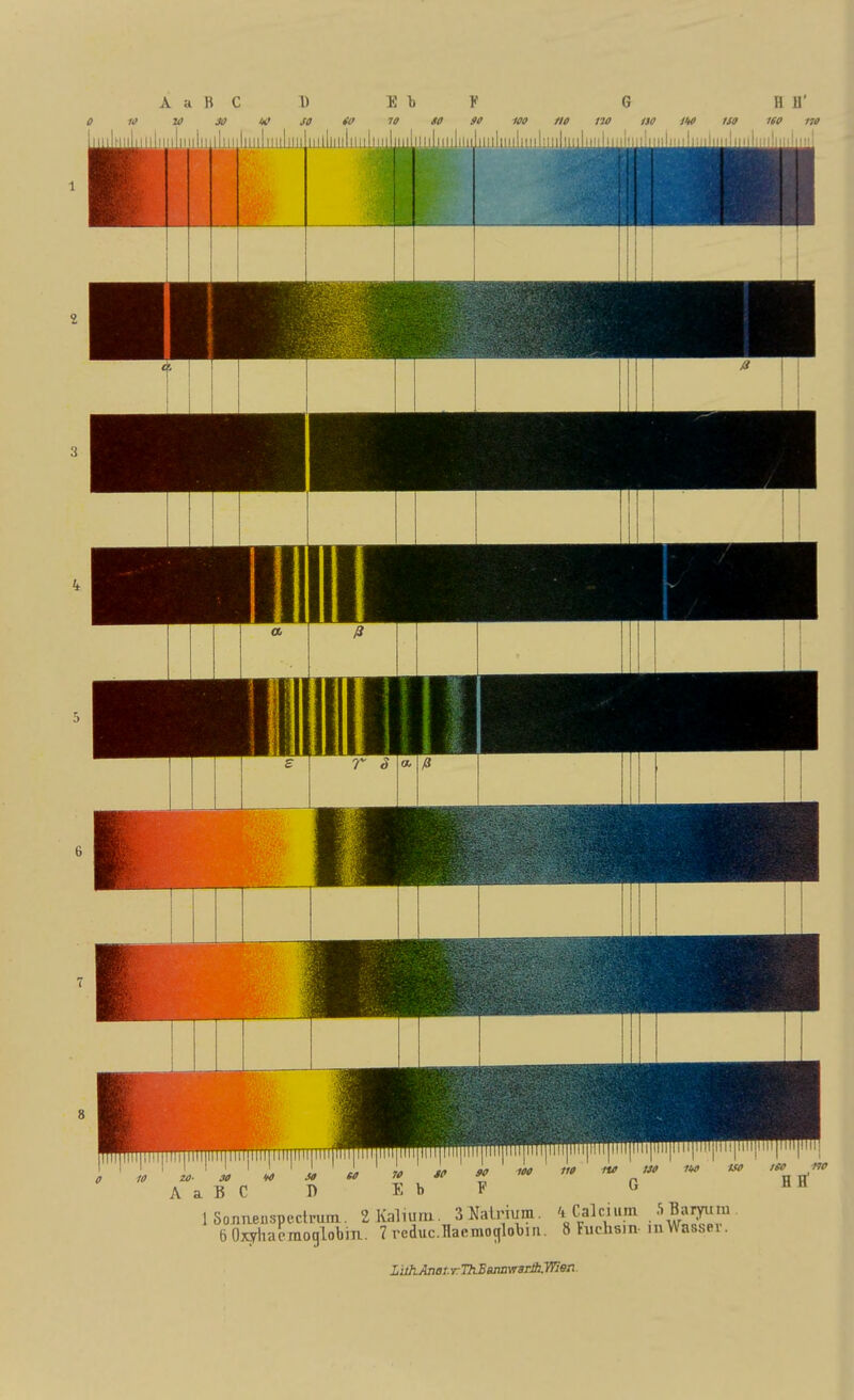 A a B C 1) E b F G HU' 0 10 la so iic so to 10 so ff loo m tw iso m tso leo m 1111 ImiiIiiii llllüllllllll lllllllllllllllllllllnil iJiiiiliiiiliiiilmiliiüln'iliiNiM i'iiMii'i'iiiiiiiiiiiiiiiiiHiiiiiiiiii' ■inini ZC. M 1)0 A a B C ISonneüspcclrum. 2 Kai iura. SNalHiim. 'i Calcium 5 Baiyiim öOxyhacraoglobiu. 7 rcduc.Ilaemocjlobni. 8 Fuchsin, in Wasser. lühAnet. r ThBsmwarAyTien