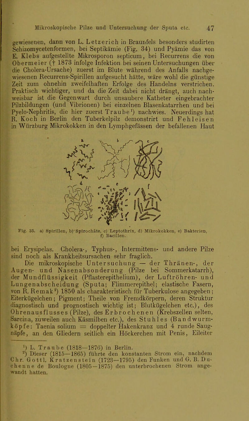 gewiesenen, dann von L. Letzerich in Braunfels besonders studirten Schizomycetenformen, bei Septikämie (Fig. 34) und Pyämie das von E. Klebs aufgestellte Mikrosporon septicum, bei Recurrens die von Obermeier (f 1873 infolge Infektion bei seinen Untersuchungen über die Cholera-Ursache) zuerst im Blute während des Anfalls nachge- wiesenen Recurrens-Spirillen aufgesucht hätte, wäre wohl die günstige Zeit zum ohnehin zweifelhaften Erfolge des Handelns verstrichen. Praktisch wichtiger, und da die Zeit dabei nicht drängt, auch nach- weisbar ist die Gegenwart durch unsaubere Katheter eingebrachter Pilzbildungen (und Vibrionen) bei einzelnen Blasenkatarrhen und bei Pyelo-Nephritis, die hier zuerst Traube1) nachwies. Neuerdings hat R. Koch in Berlin den Tuberkelpilz demonstrirt und Feh leisen in Würzburg Mikrokokken in den Lymphgefässen der befallenen Haut Fig. 35. a) Spirillen, b)'Spirochäte, c) Leptothrix, d) Mikrokokken, e) Bakterien, bei Erysipelas. Cholera-, Typhus-, Intermittens- und andere Pilze sind noch als Krankheitsursachen sehr fraglich. Die mikroskopische Untersuchung — der Thränen-, der Augen- und Nasenabsonderung (Pilze bei Sommerkatarrh), der Mundflüssigkeit (Pflasterepithelium), der Luftröhren- und Lungenabscheidung (Sputa; Flimmerepithel; elastische Fasern, von R. Reinak2) 1850 als charakteristisch für Tuberkulose angegeben ; Eiterkügelchen; Pigment; Theile von Fremdkörpern, deren Struktur diagnostisch und prognostisch wichtig ist; Blutkügelchen etc.), des Ohrenausflusses (Pilze), des Erbr o ch en en (Krebszellen selten, Sarcina, zuweilen auch Käsmilben etc.), des Stuhles (Bandwurm- köpfe: Taenia solium = doppelter Hakenkranz und 4 runde Saug- näpfe, an den Gliedern seitlich ein Höckerchen mit Penis, Eileiter ') L. Traube (1818—187G) in Berlin. *) Dieser (1815—1865) führte den konstanten Strom ein, nachdem Chr. Gottl. Kratzenstein (1723—1795) den Funken und G. B.Du- chenne de Boulogne (1805 — 1875) den unterbrochenen Strom ange- wandt hatten. f) Bacillen.